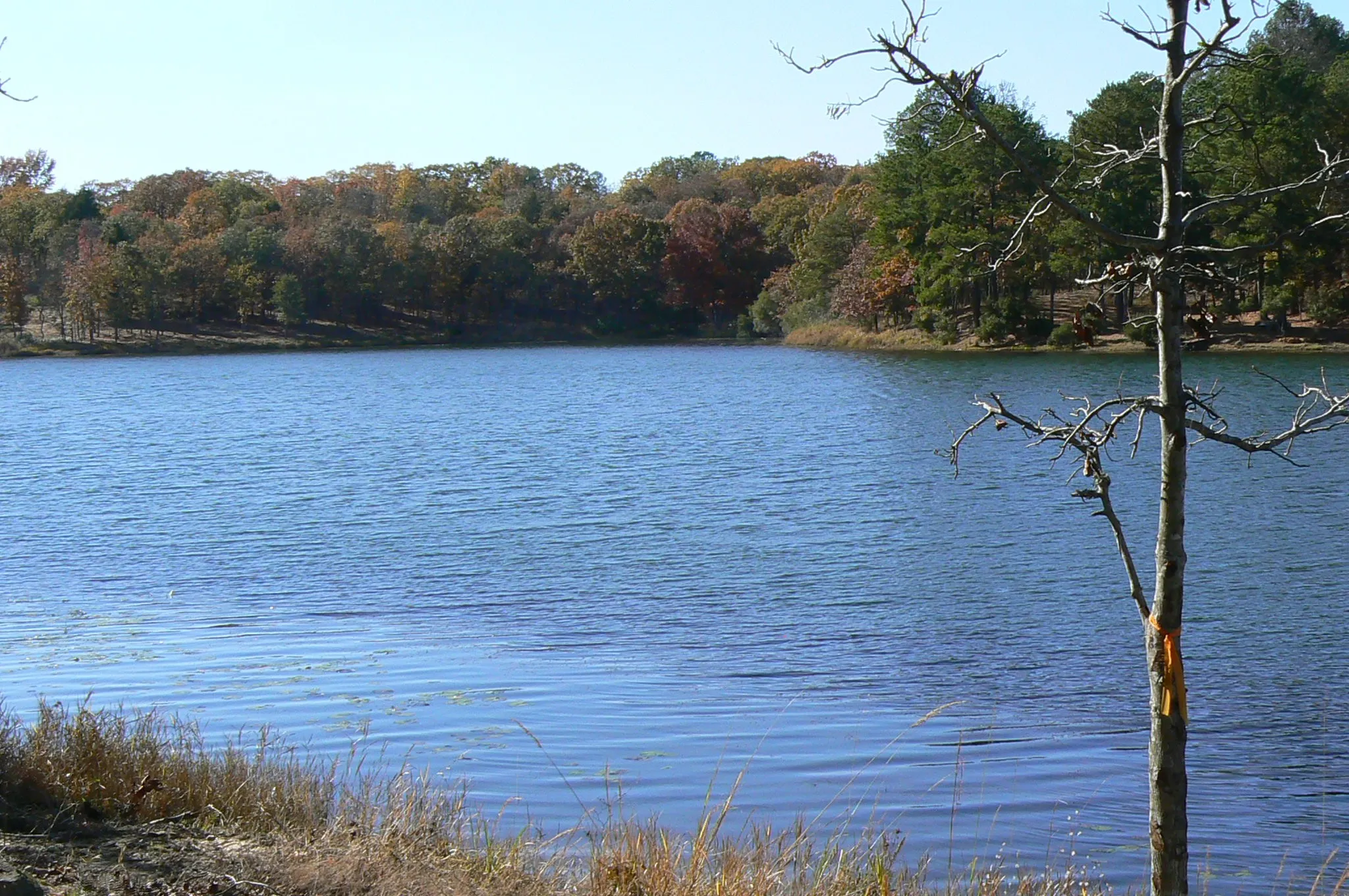 Unimproved Land For Sale in Henderson County , 9122 Safari Bluff, Larue, Texas 75770, 0, 0, Garage spaces, 0 Sqft, built in 0, Price $179,900, mls#20947459, Real Estate Agent in Larue, Homes For Sale in Henderson county, Homes For Sale in Larue, Realtor in Larue Texas, Real Estate Brokerage Independent Realty Texas, Luminita Cordes Realtor