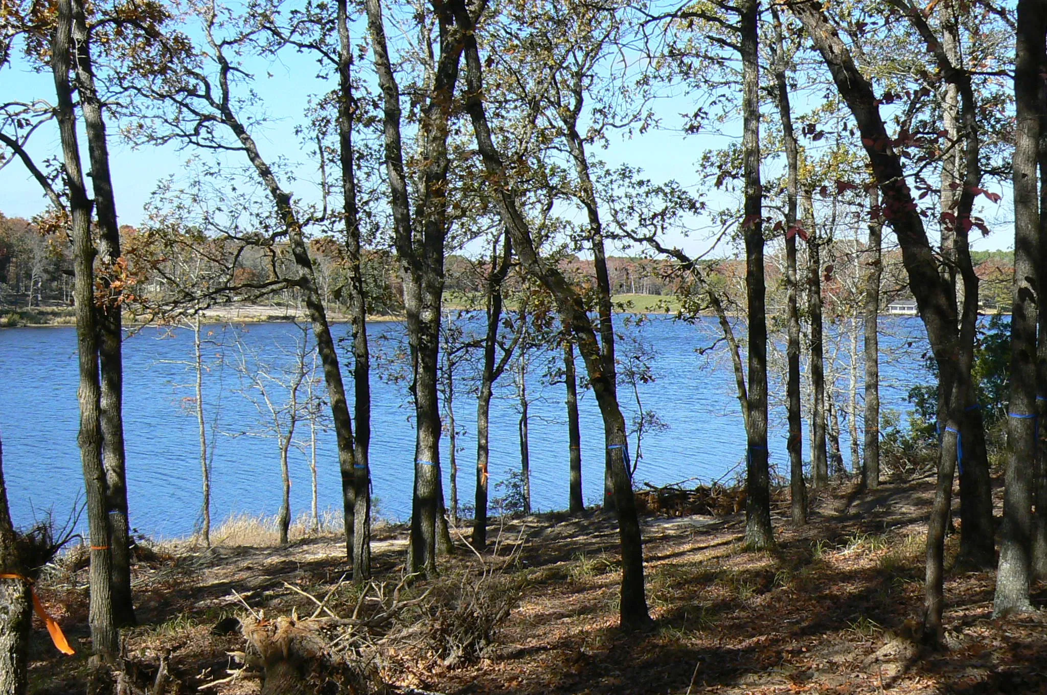 Unimproved Land For Sale in Henderson County , 9122 Safari Bluff, Larue, Texas 75770, 0, 0, Garage spaces, 0 Sqft, built in 0, Price $179,900, mls#20947459, Real Estate Agent in Larue, Homes For Sale in Henderson county, Homes For Sale in Larue, Realtor in Larue Texas, Real Estate Brokerage Independent Realty Texas, Luminita Cordes Realtor