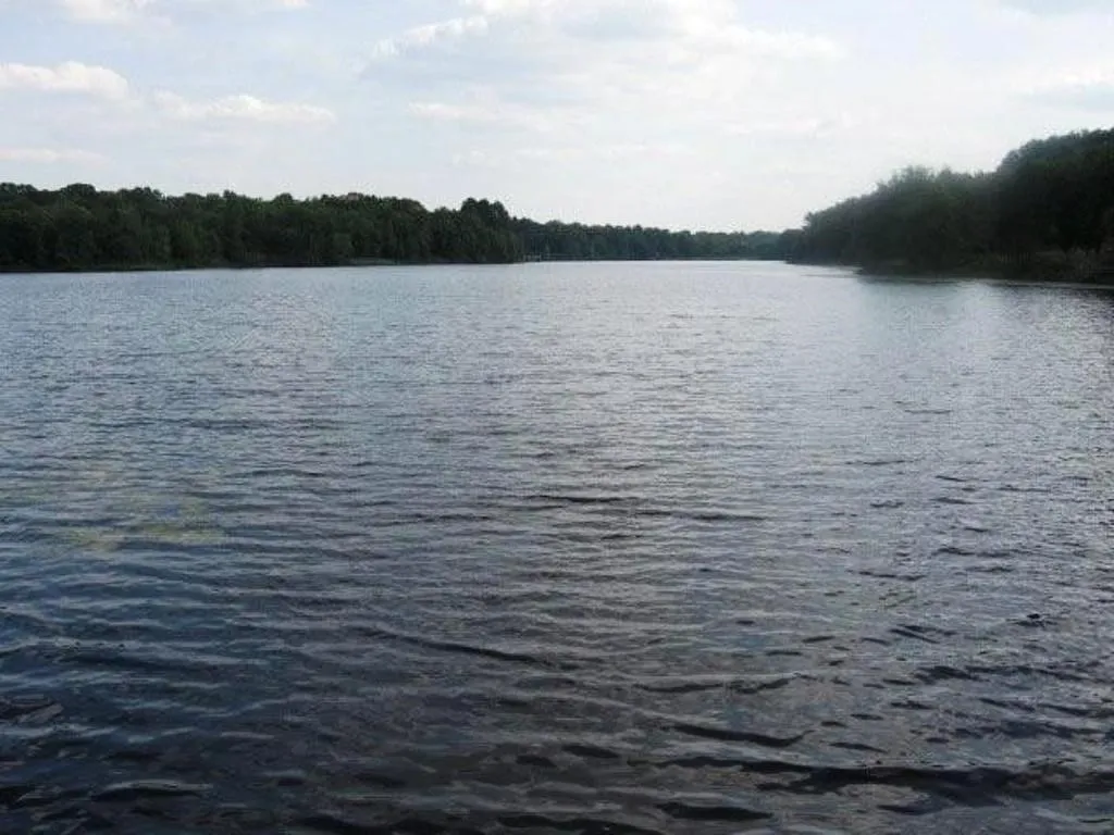 Unimproved Land For Sale in Henderson County , 9122 Safari Bluff, Larue, Texas 75770, 0, 0, Garage spaces, 0 Sqft, built in 0, Price $179,900, mls#20947459, Real Estate Agent in Larue, Homes For Sale in Henderson county, Homes For Sale in Larue, Realtor in Larue Texas, Real Estate Brokerage Independent Realty Texas, Luminita Cordes Realtor