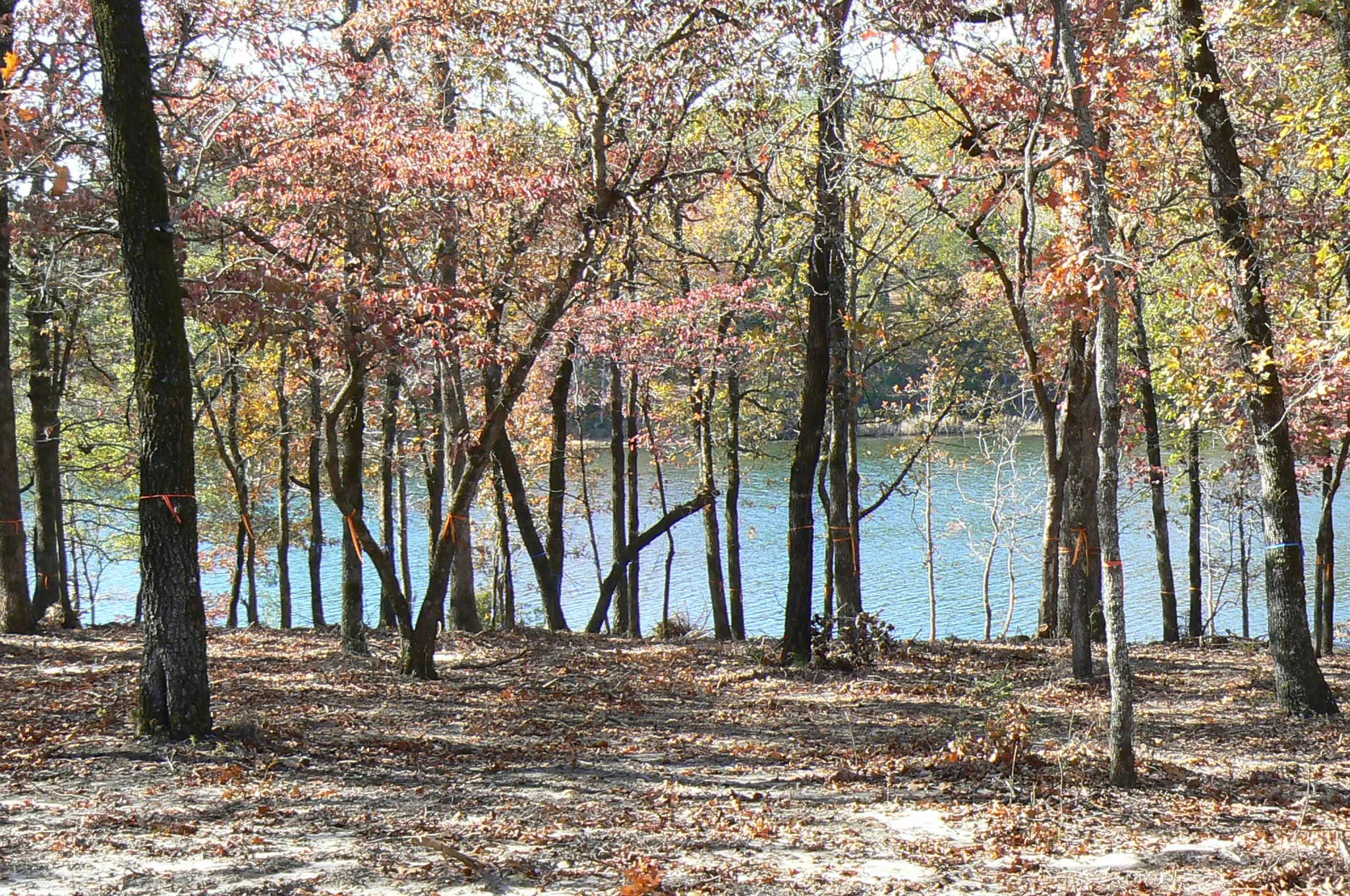Unimproved Land For Sale in Henderson County , 9122 Safari Bluff, Larue, Texas 75770, 0, 0, Garage spaces, 0 Sqft, built in 0, Price $179,900, mls#20947459, Real Estate Agent in Larue, Homes For Sale in Henderson county, Homes For Sale in Larue, Realtor in Larue Texas, Real Estate Brokerage Independent Realty Texas, Luminita Cordes Realtor