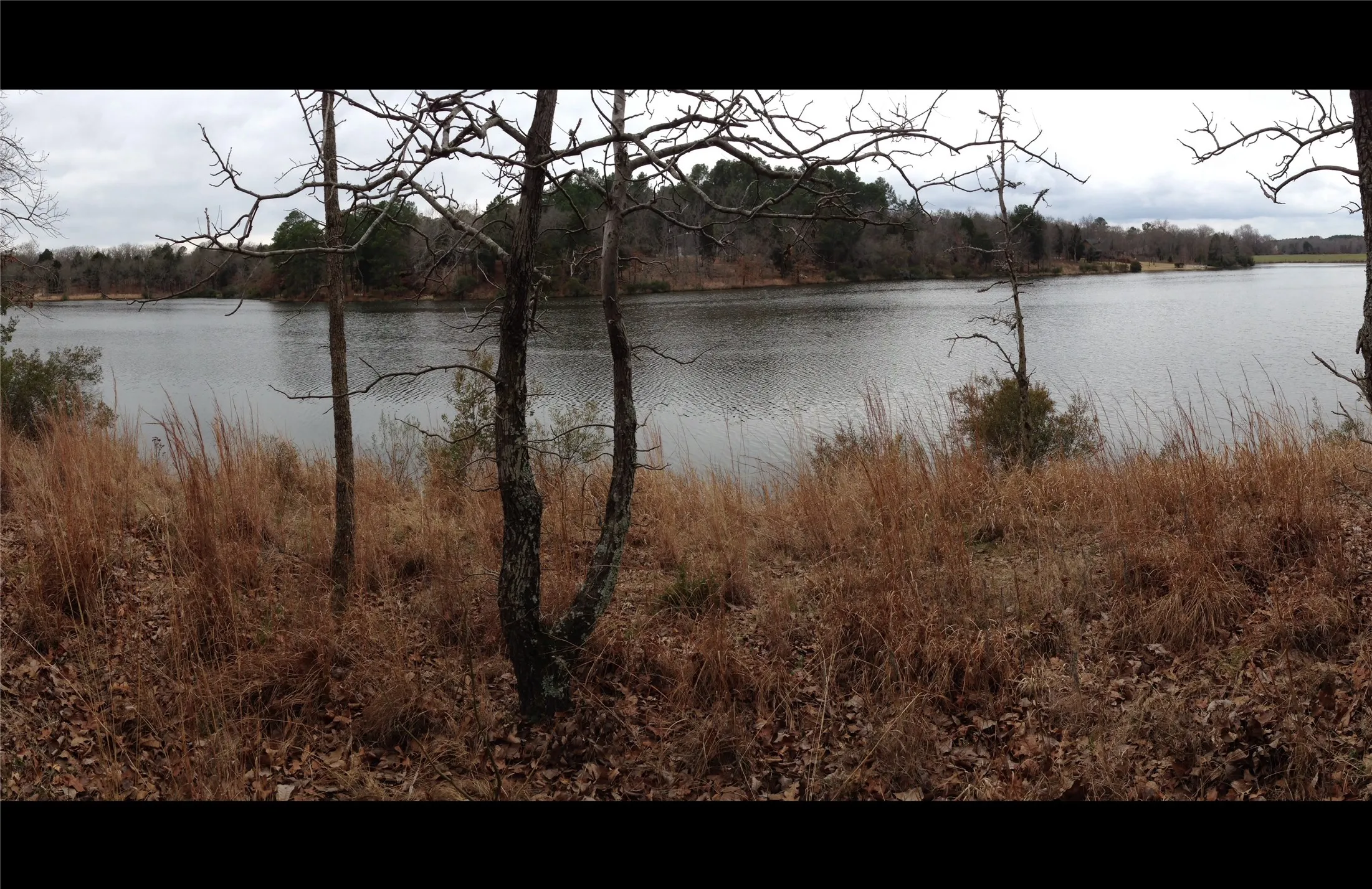 Unimproved Land For Sale in Henderson County , 9122 Safari Bluff, Larue, Texas 75770, 0, 0, Garage spaces, 0 Sqft, built in 0, Price $179,900, mls#20947459, Real Estate Agent in Larue, Homes For Sale in Henderson county, Homes For Sale in Larue, Realtor in Larue Texas, Real Estate Brokerage Independent Realty Texas, Luminita Cordes Realtor