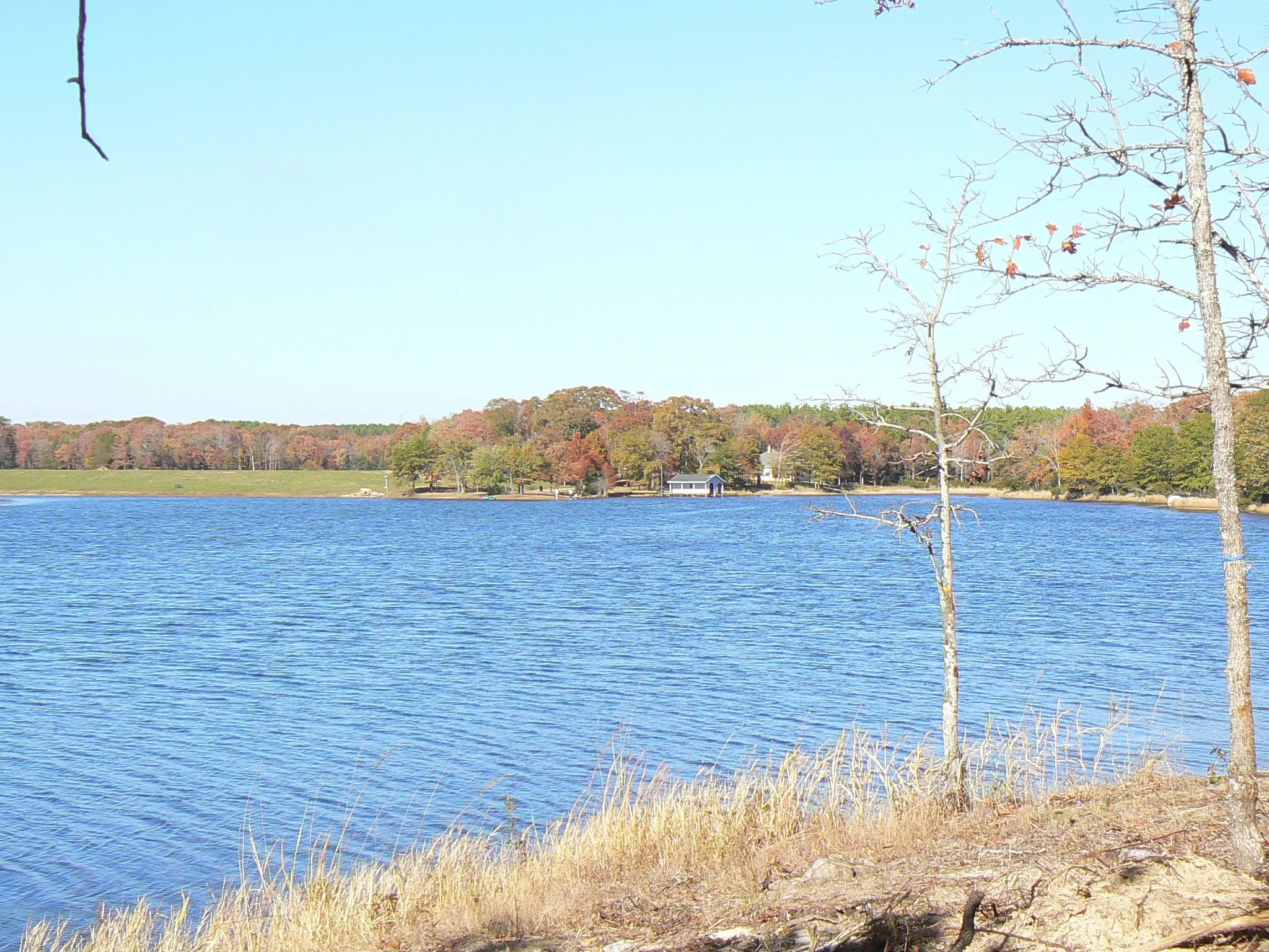 Unimproved Land For Sale in Henderson County , 9122 Safari Bluff, Larue, Texas 75770, 0, 0, Garage spaces, 0 Sqft, built in 0, Price $179,900, mls#20947459, Real Estate Agent in Larue, Homes For Sale in Henderson county, Homes For Sale in Larue, Realtor in Larue Texas, Real Estate Brokerage Independent Realty Texas, Luminita Cordes Realtor