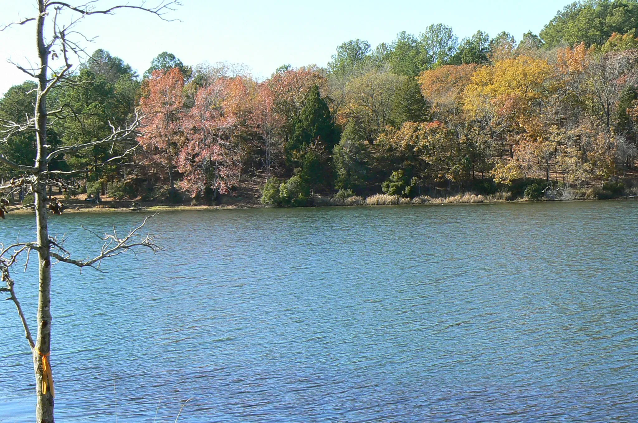 Unimproved Land For Sale in Henderson County , 9122 Safari Bluff, Larue, Texas 75770, 0, 0, Garage spaces, 0 Sqft, built in 0, Price $179,900, mls#20947459, Real Estate Agent in Larue, Homes For Sale in Henderson county, Homes For Sale in Larue, Realtor in Larue Texas, Real Estate Brokerage Independent Realty Texas, Luminita Cordes Realtor