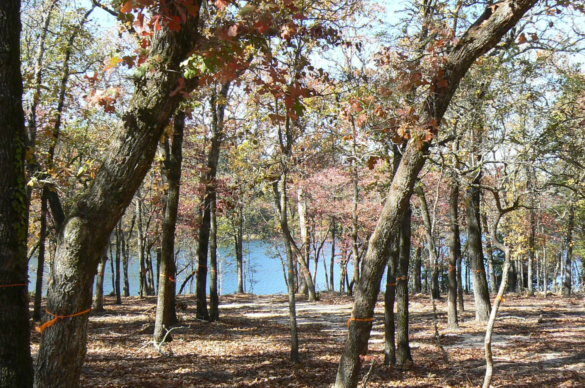Unimproved Land For Sale in Henderson County , 9122 Safari Bluff, Larue, Texas 75770, 0, 0, Garage spaces, 0 Sqft, built in 0, Price $179,900, mls#20947459, Real Estate Agent in Larue, Homes For Sale in Henderson county, Homes For Sale in Larue, Realtor in Larue Texas, Real Estate Brokerage Independent Realty Texas, Luminita Cordes Realtor