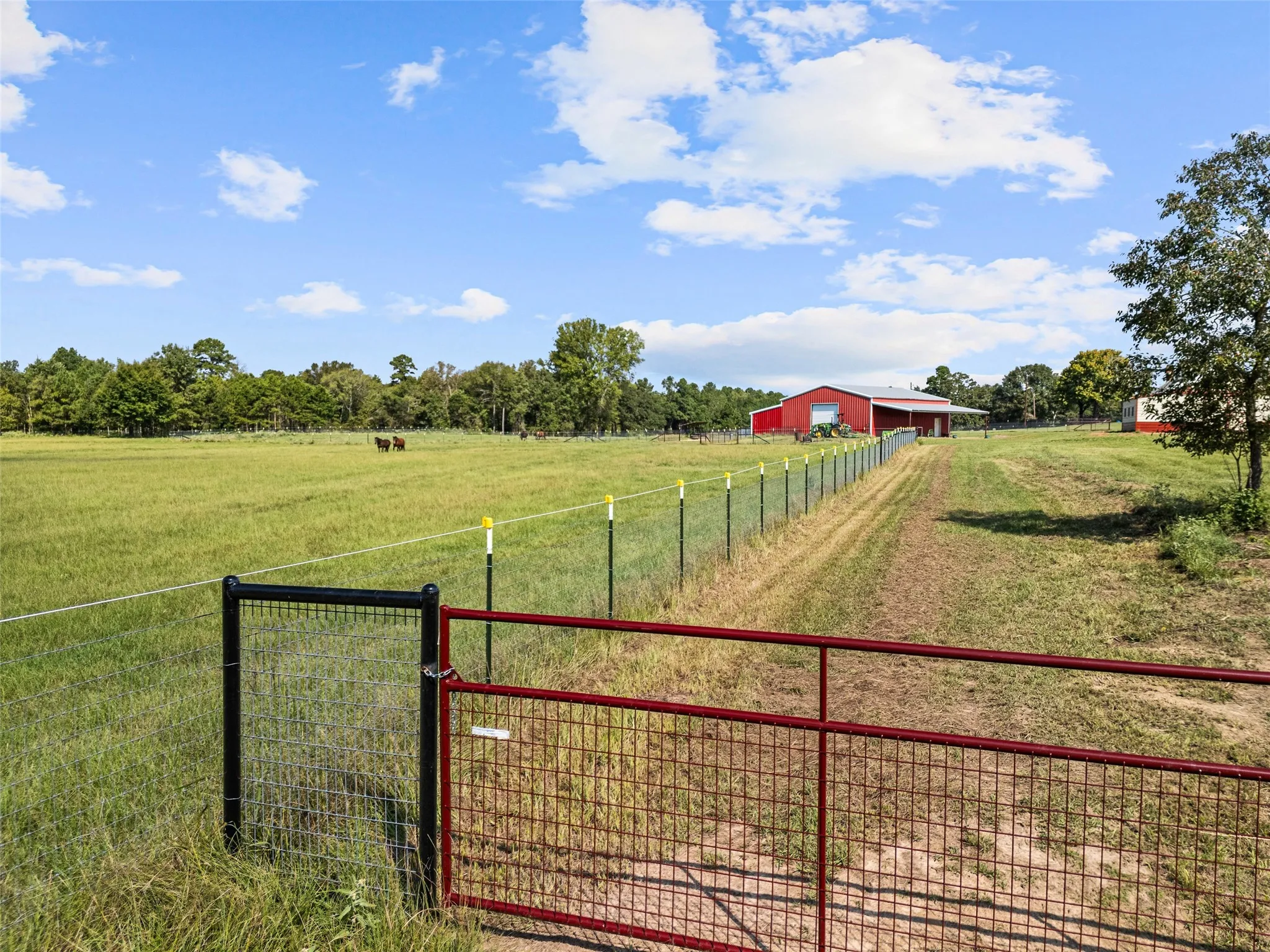 Single Family Residence For Sale in Upshur County , 5989 HWY. 259, Diana, Texas 75640, 3 Bedroom, 3 Bathroom, Garage spaces, 3,490 Sqft, built in 1998, Preowned, mls#20977985, Real Estate Agent in Diana, Homes For Sale in Upshur county, Homes For Sale in Diana, Realtor in Diana Texas, Real Estate Brokerage Independent Realty Texas, Luminita Cordes Realtor