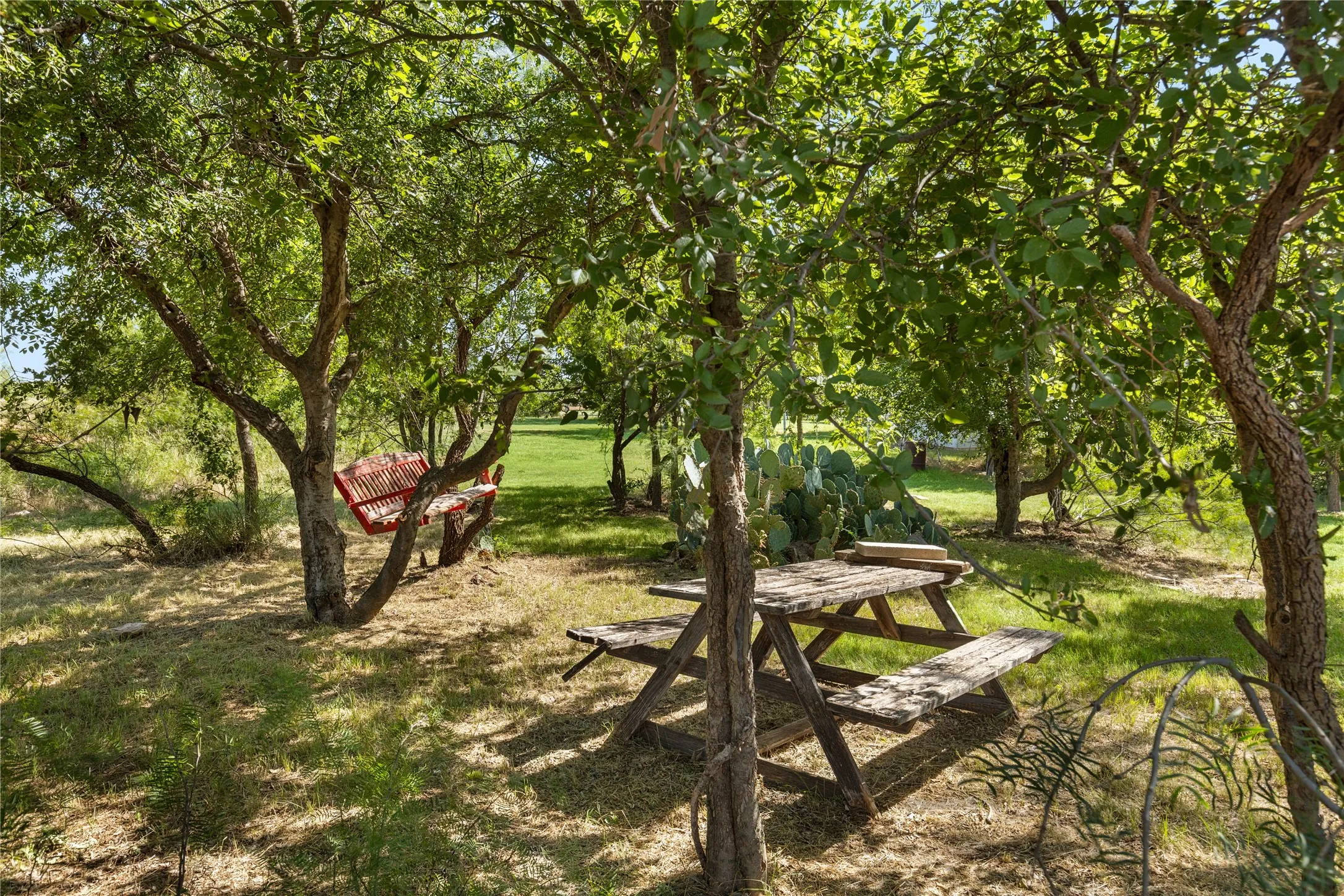 Single Family Residence For Sale in Baylor County , 894 W Moonshine Road, Seymour, Texas 76380, 3 Bedroom, 1 Bathroom, Garage spaces, 1,504 Sqft, built in 2000, mls#20978304, Real Estate Agent in Seymour, Homes For Sale in Baylor county, Homes For Sale in Seymour, Realtor in Seymour Texas, Real Estate Brokerage Independent Realty Texas, Luminita Cordes Realtor