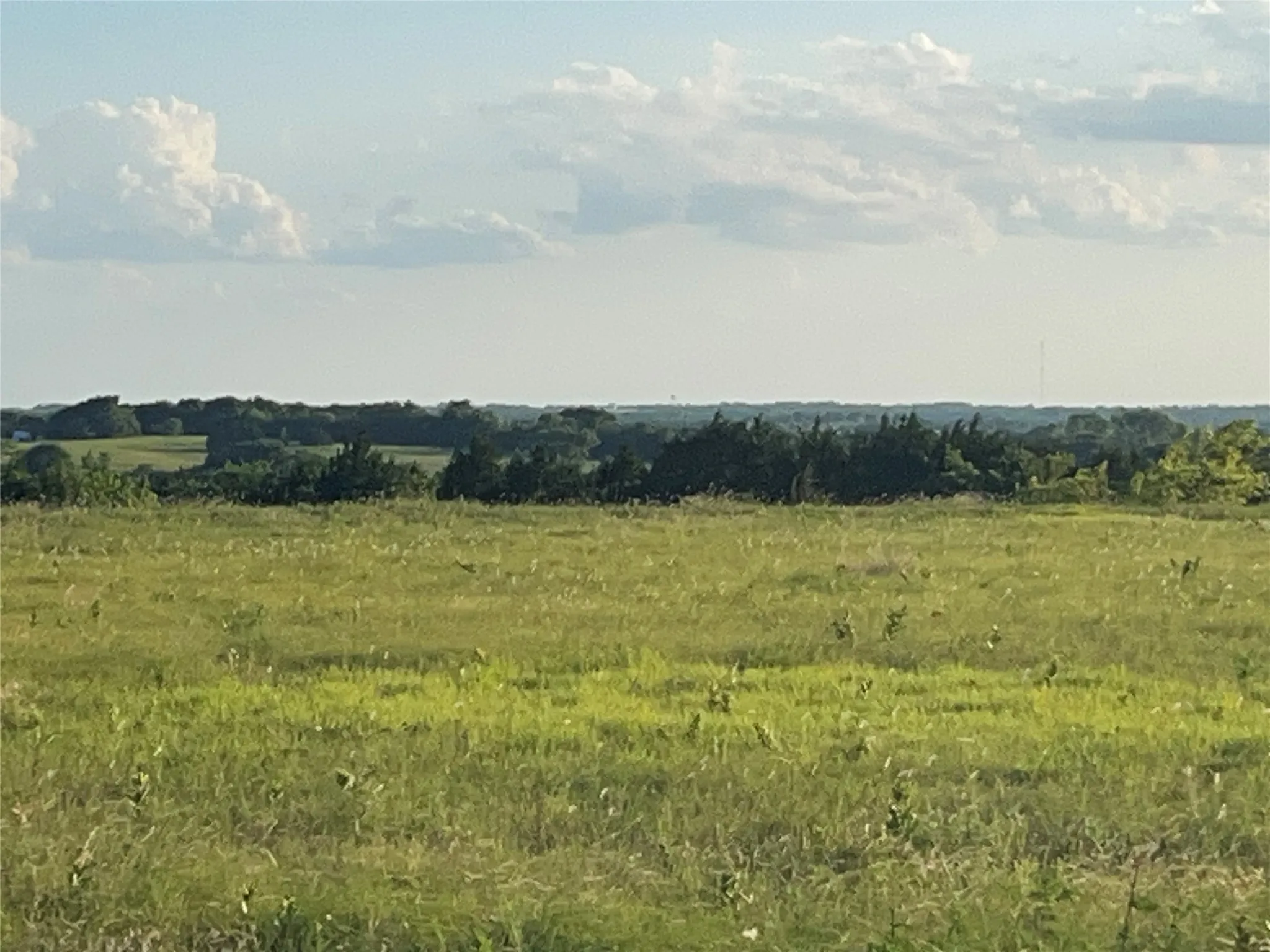 View of local wilderness with rural landscape