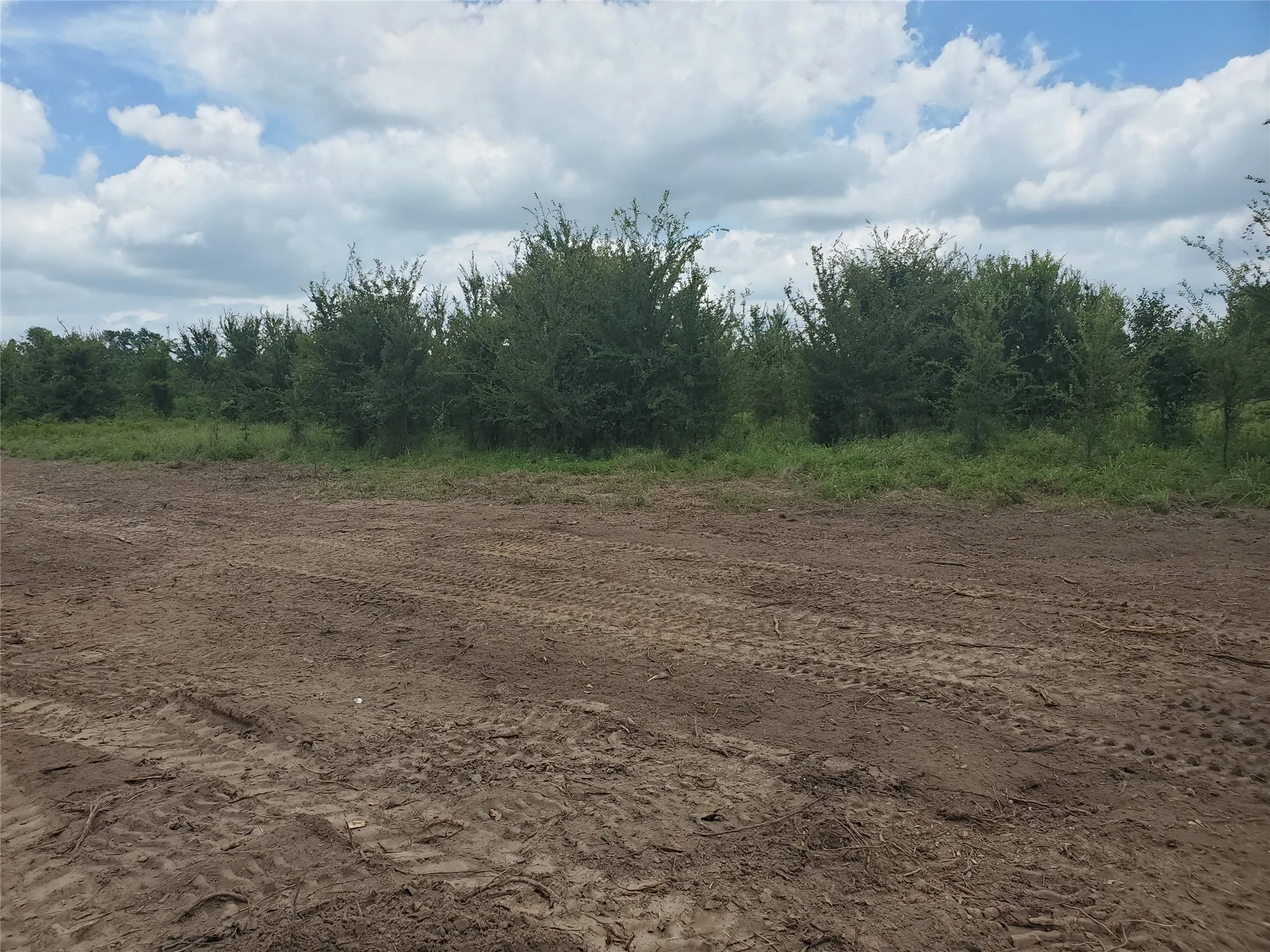 Unimproved Land For Sale in Rains County , TBD RS County Road 2470, Emory, Texas 75440, 0, 0, Garage spaces, 0 Sqft, built in 0, mls#20978691, Real Estate Agent in Emory, Homes For Sale in Rains county, Homes For Sale in Emory, Realtor in Emory Texas, Real Estate Brokerage Independent Realty Texas, Luminita Cordes Realtor