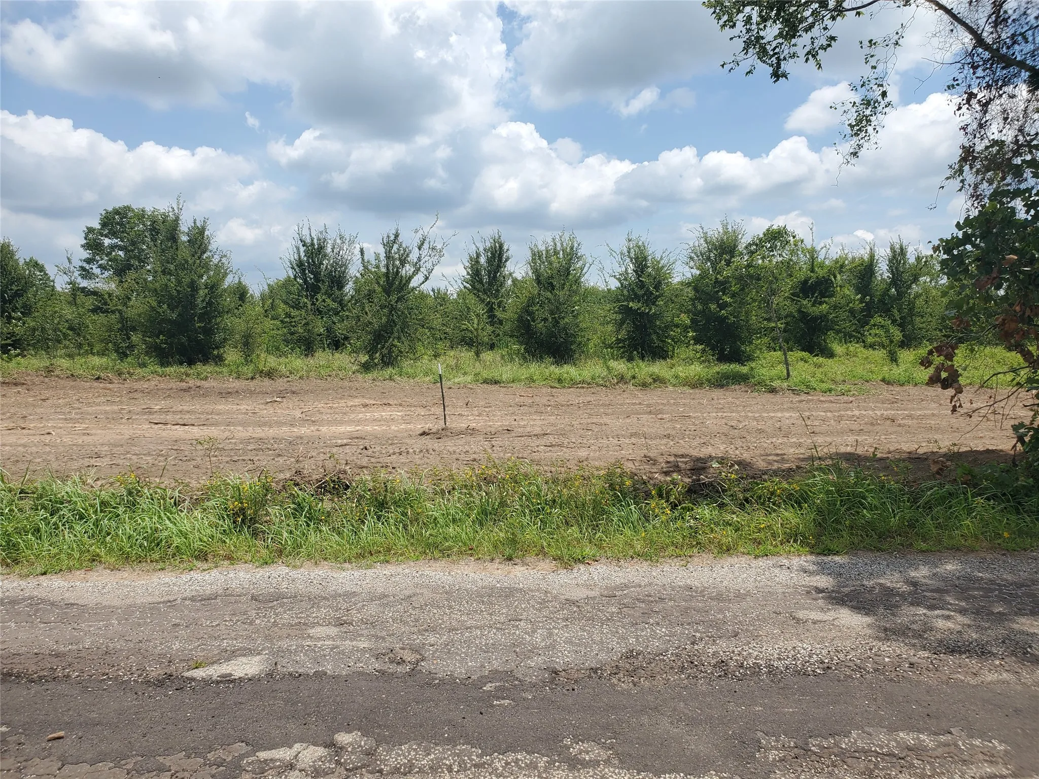 Unimproved Land For Sale in Rains County , TBD RS County Road 2470, Emory, Texas 75440, 0, 0, Garage spaces, 0 Sqft, built in 0, mls#20978691, Real Estate Agent in Emory, Homes For Sale in Rains county, Homes For Sale in Emory, Realtor in Emory Texas, Real Estate Brokerage Independent Realty Texas, Luminita Cordes Realtor