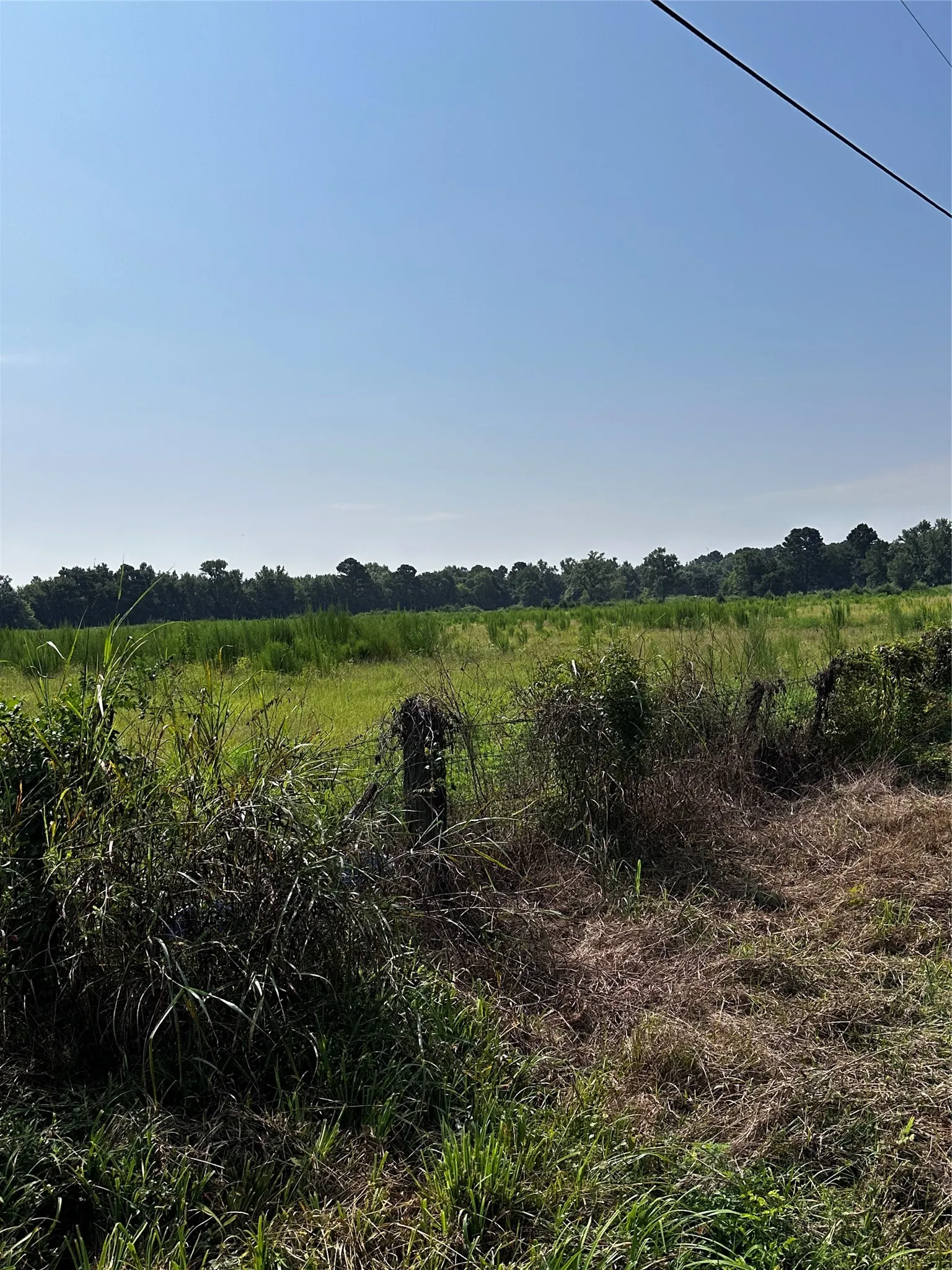 Unimproved Land For Sale in Morris County , 001 Fm-144, Daingerfield, Texas 75638, 0, 0, Garage spaces, 0 Sqft, built in 0, Price $450,000, mls#20978597, Real Estate Agent in Daingerfield, Homes For Sale in Morris county, Homes For Sale in Daingerfield, Realtor in Daingerfield Texas, Real Estate Brokerage Independent Realty Texas, Luminita Cordes Realtor