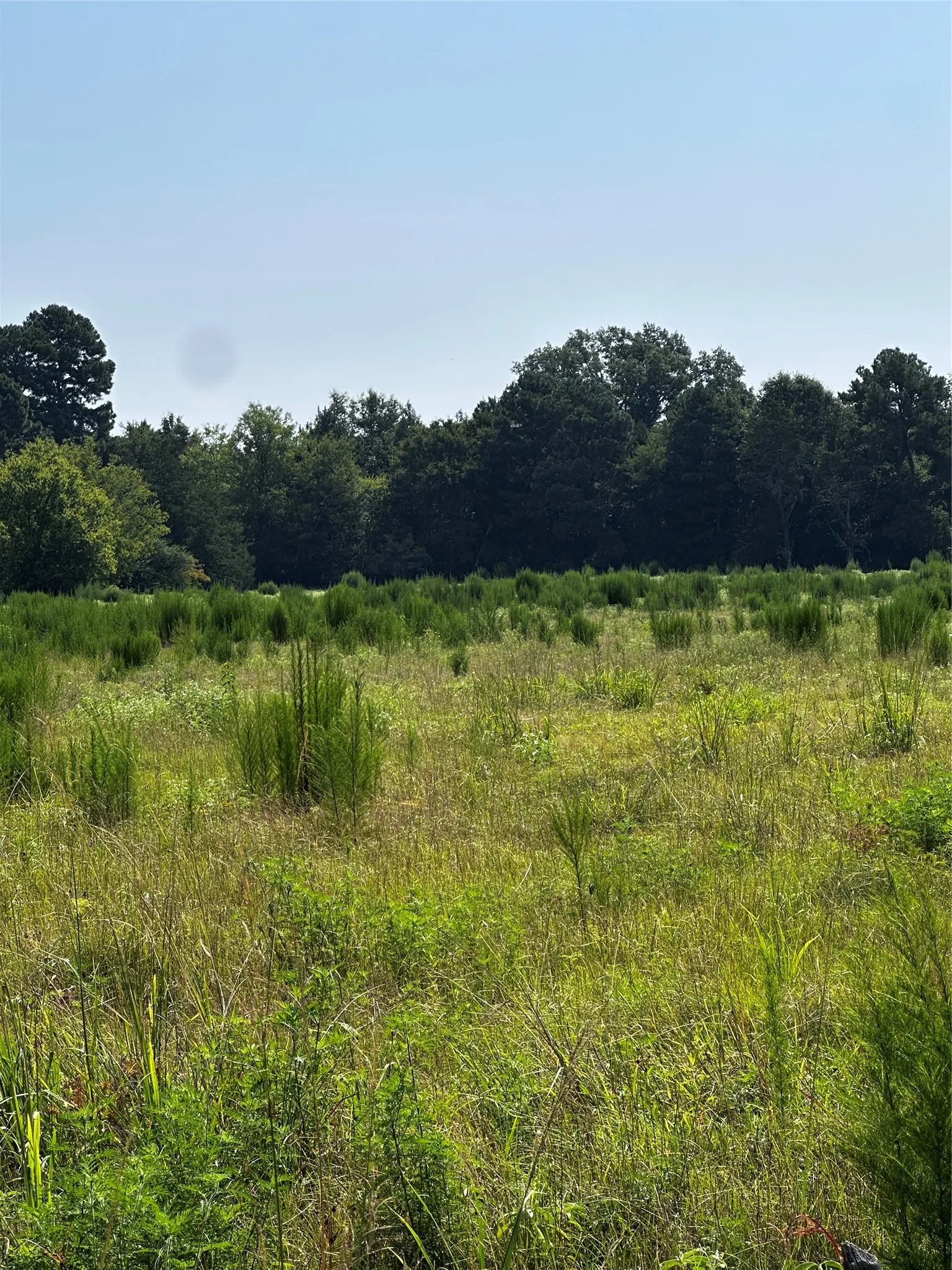 Unimproved Land For Sale in Morris County , 001 Fm-144, Daingerfield, Texas 75638, 0, 0, Garage spaces, 0 Sqft, built in 0, Price $450,000, mls#20978597, Real Estate Agent in Daingerfield, Homes For Sale in Morris county, Homes For Sale in Daingerfield, Realtor in Daingerfield Texas, Real Estate Brokerage Independent Realty Texas, Luminita Cordes Realtor