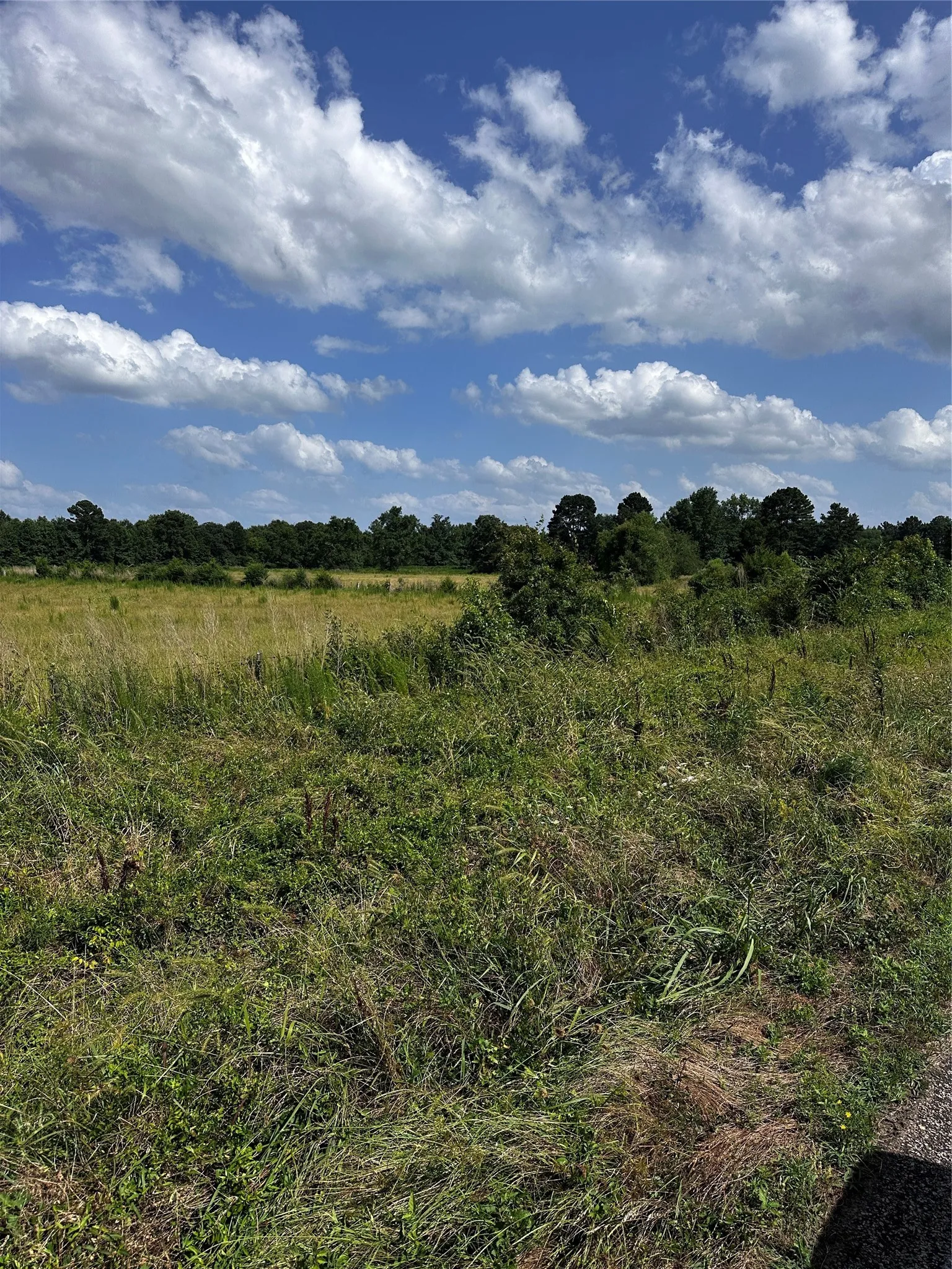 Unimproved Land For Sale in Morris County , 001 Fm-144, Daingerfield, Texas 75638, 0, 0, Garage spaces, 0 Sqft, built in 0, Price $450,000, mls#20978597, Real Estate Agent in Daingerfield, Homes For Sale in Morris county, Homes For Sale in Daingerfield, Realtor in Daingerfield Texas, Real Estate Brokerage Independent Realty Texas, Luminita Cordes Realtor