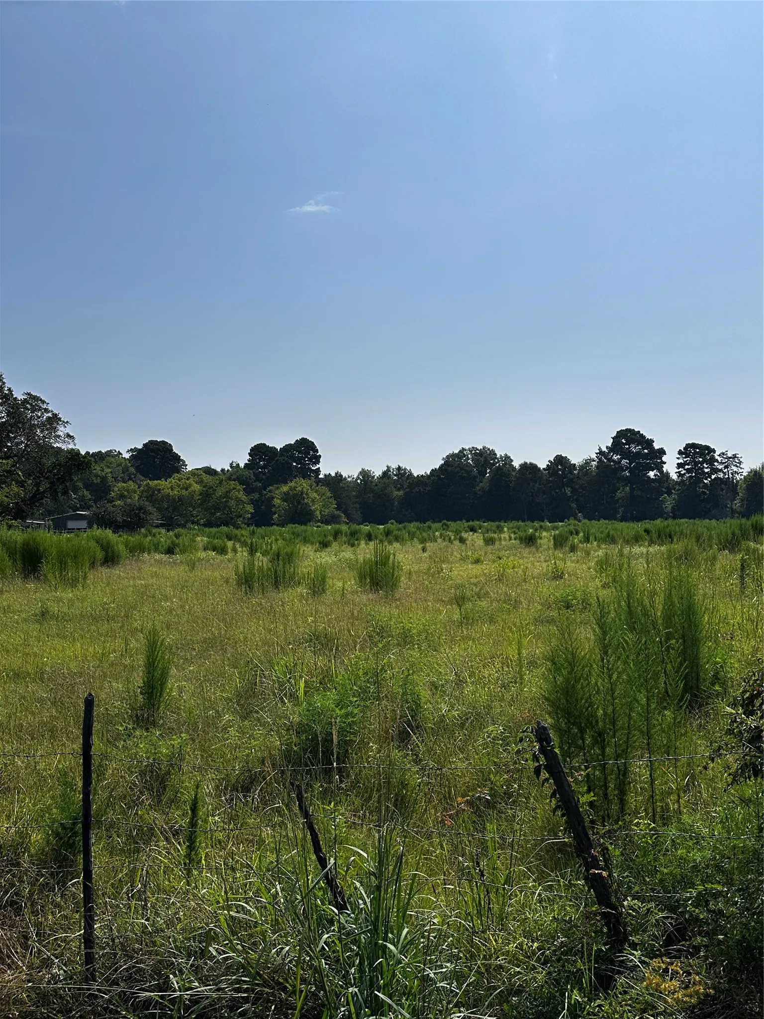 Unimproved Land For Sale in Morris County , 001 Fm-144, Daingerfield, Texas 75638, 0, 0, Garage spaces, 0 Sqft, built in 0, Price $450,000, mls#20978597, Real Estate Agent in Daingerfield, Homes For Sale in Morris county, Homes For Sale in Daingerfield, Realtor in Daingerfield Texas, Real Estate Brokerage Independent Realty Texas, Luminita Cordes Realtor