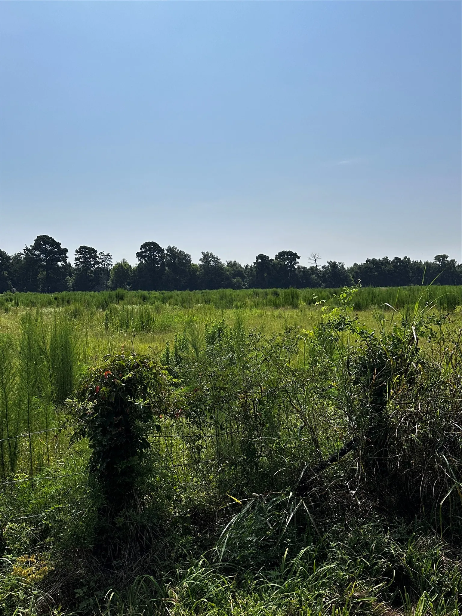 Unimproved Land For Sale in Morris County , 001 Fm-144, Daingerfield, Texas 75638, 0, 0, Garage spaces, 0 Sqft, built in 0, Price $450,000, mls#20978597, Real Estate Agent in Daingerfield, Homes For Sale in Morris county, Homes For Sale in Daingerfield, Realtor in Daingerfield Texas, Real Estate Brokerage Independent Realty Texas, Luminita Cordes Realtor