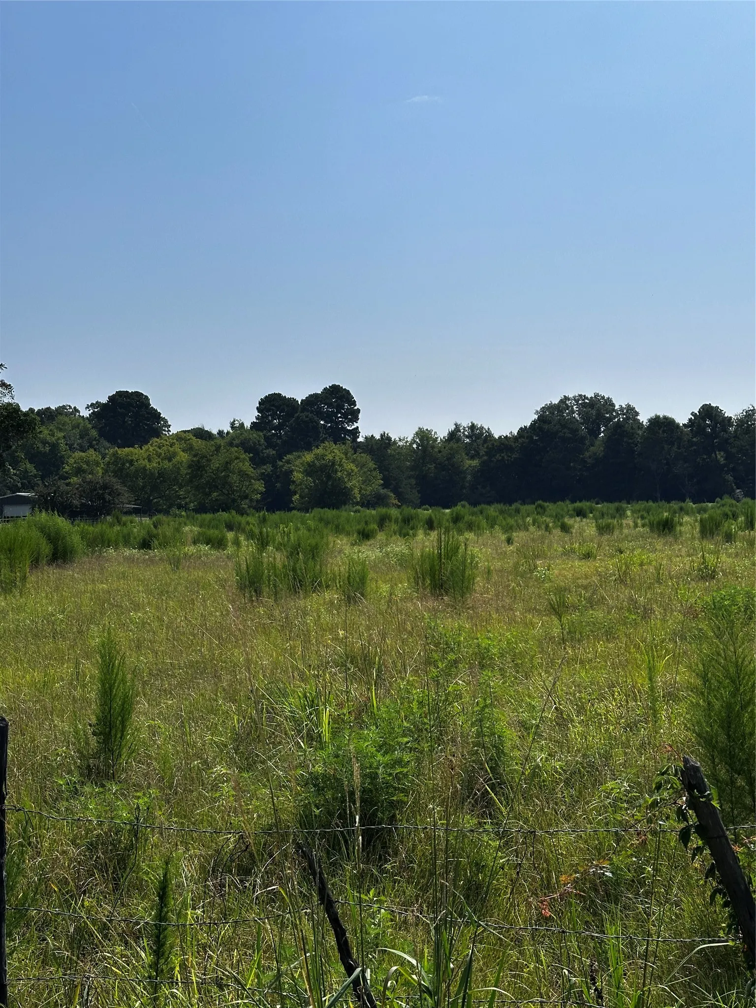 Unimproved Land For Sale in Morris County , 001 Fm-144, Daingerfield, Texas 75638, 0, 0, Garage spaces, 0 Sqft, built in 0, Price $450,000, mls#20978597, Real Estate Agent in Daingerfield, Homes For Sale in Morris county, Homes For Sale in Daingerfield, Realtor in Daingerfield Texas, Real Estate Brokerage Independent Realty Texas, Luminita Cordes Realtor