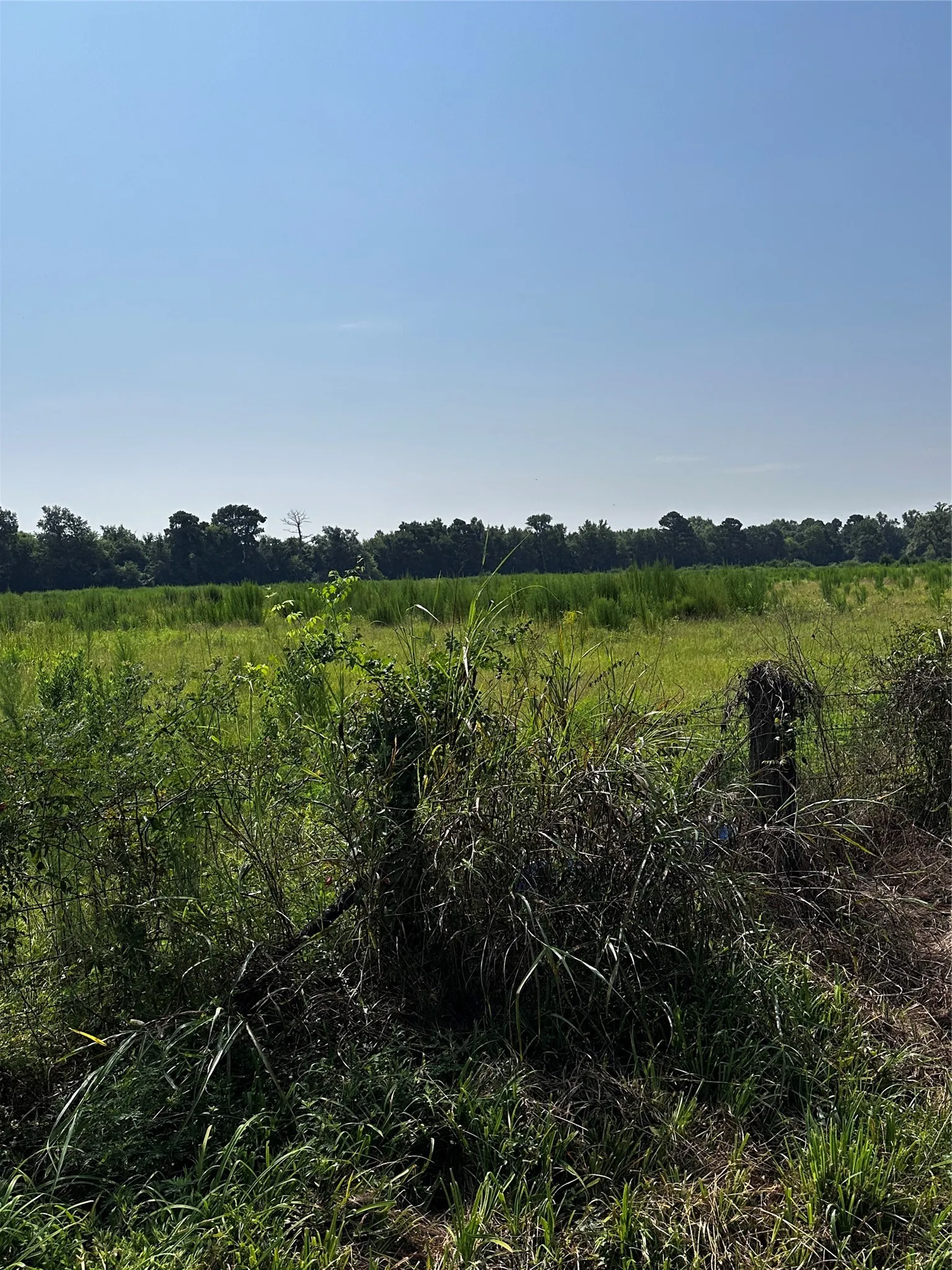 Unimproved Land For Sale in Morris County , 001 Fm-144, Daingerfield, Texas 75638, 0, 0, Garage spaces, 0 Sqft, built in 0, Price $450,000, mls#20978597, Real Estate Agent in Daingerfield, Homes For Sale in Morris county, Homes For Sale in Daingerfield, Realtor in Daingerfield Texas, Real Estate Brokerage Independent Realty Texas, Luminita Cordes Realtor
