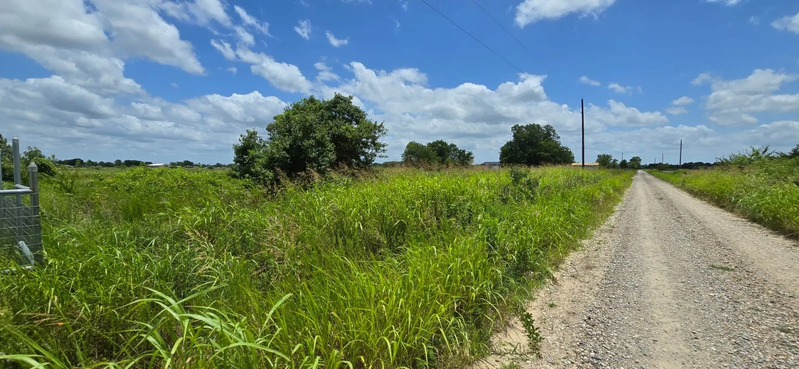 Unimproved Land For Sale in Fannin County , TBD County Road 1155 Road, Bonham, Texas 75418, 0, 0, Garage spaces, 0 Sqft, built in 0, Price $150,000, mls#20975945, Real Estate Agent in Bonham, Homes For Sale in Fannin county, Homes For Sale in Bonham, Realtor in Bonham Texas, Real Estate Brokerage Independent Realty Texas, Luminita Cordes Realtor