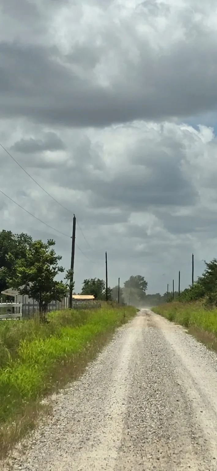 View of road