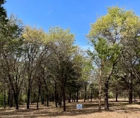 Unimproved Land For Sale in Montague County , 057 Blackjack Parkway, Nocona, Texas 76255, 0, 0, Garage spaces, 0 Sqft, built in 0, mls#20979159, Real Estate Agent in Nocona, Homes For Sale in Montague county, Homes For Sale in Nocona, Realtor in Nocona Texas, Real Estate Brokerage Independent Realty Texas, Luminita Cordes Realtor