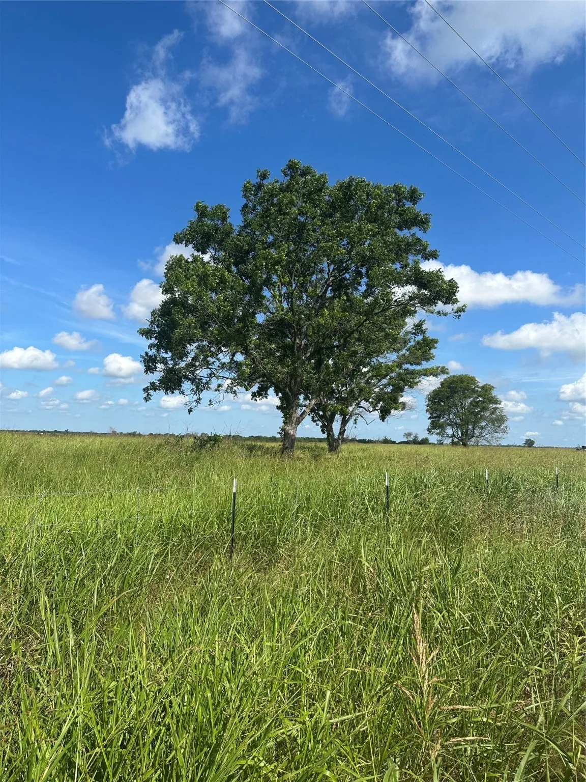 View of undeveloped land with rural landscape