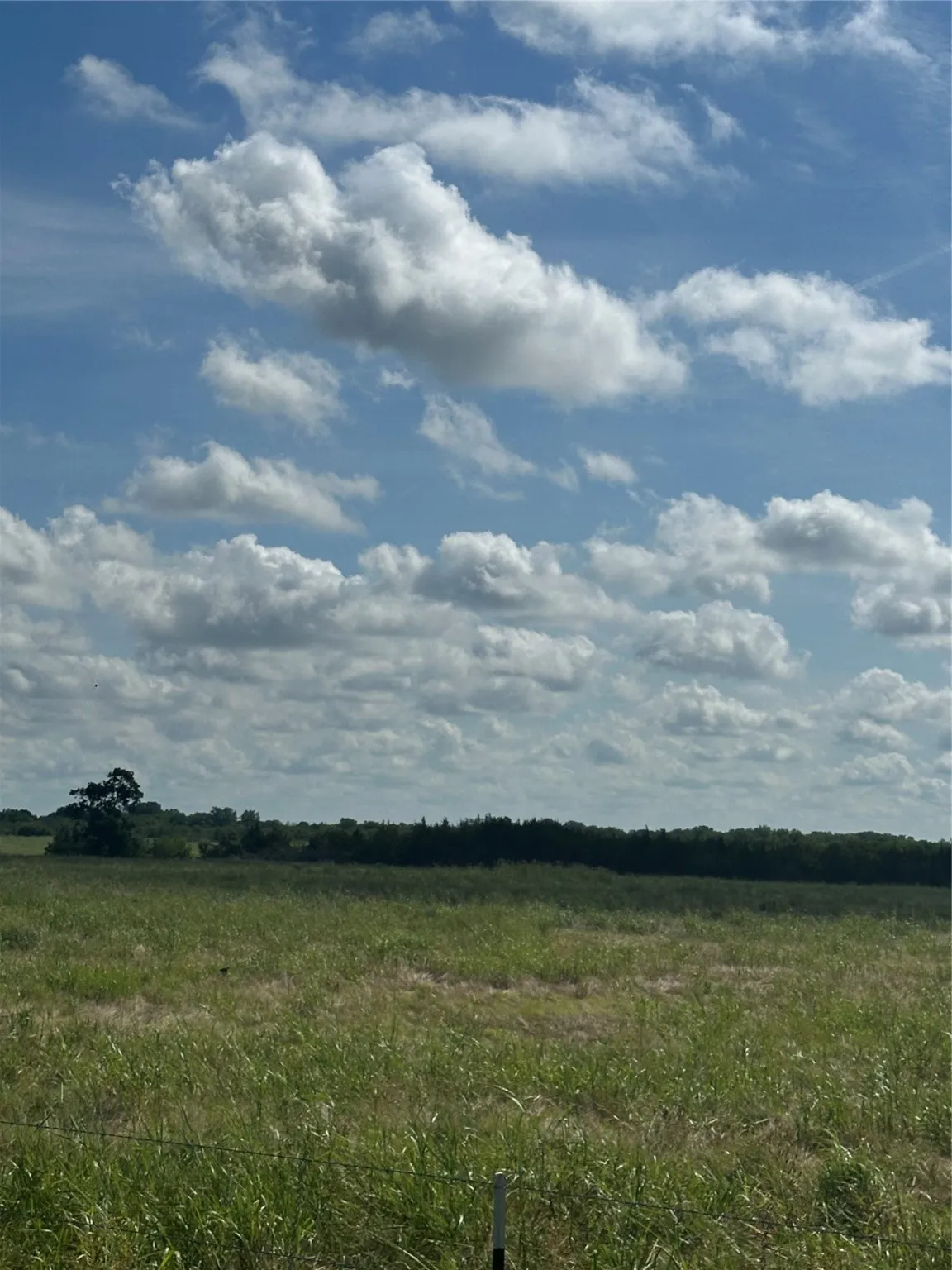 View of local wilderness with rural landscape