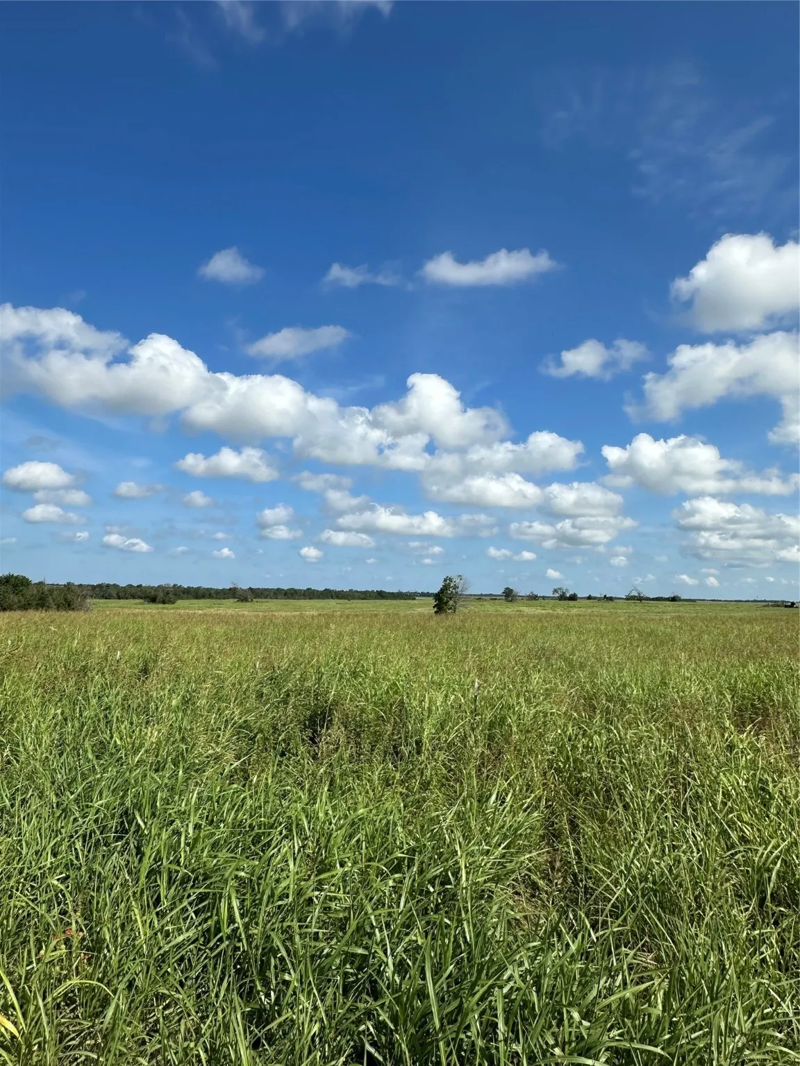 View of nature featuring rural landscape