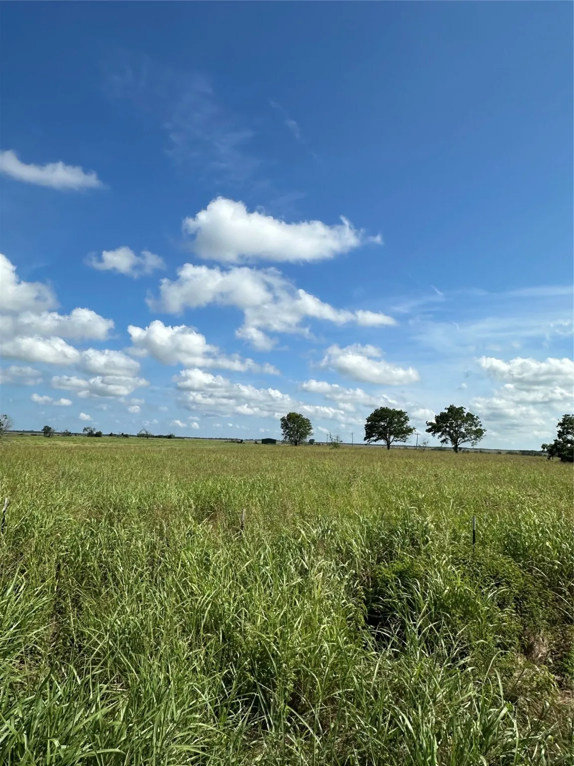 View of local wilderness with rural landscape