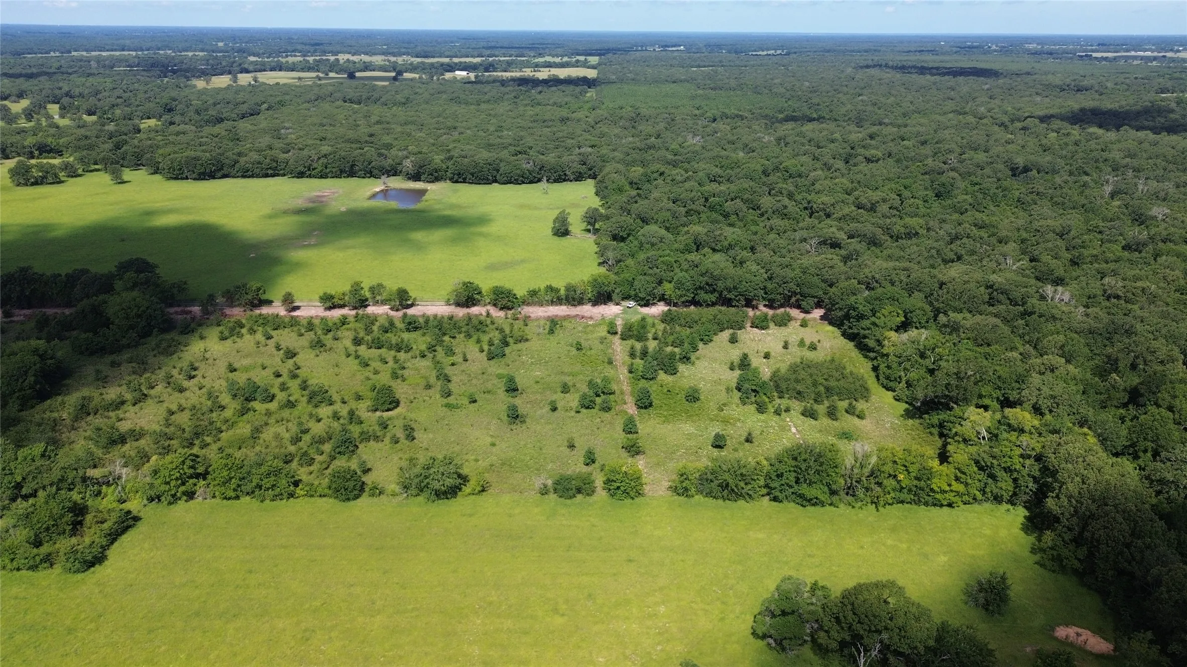 Bird's eye view of a heavily wooded area