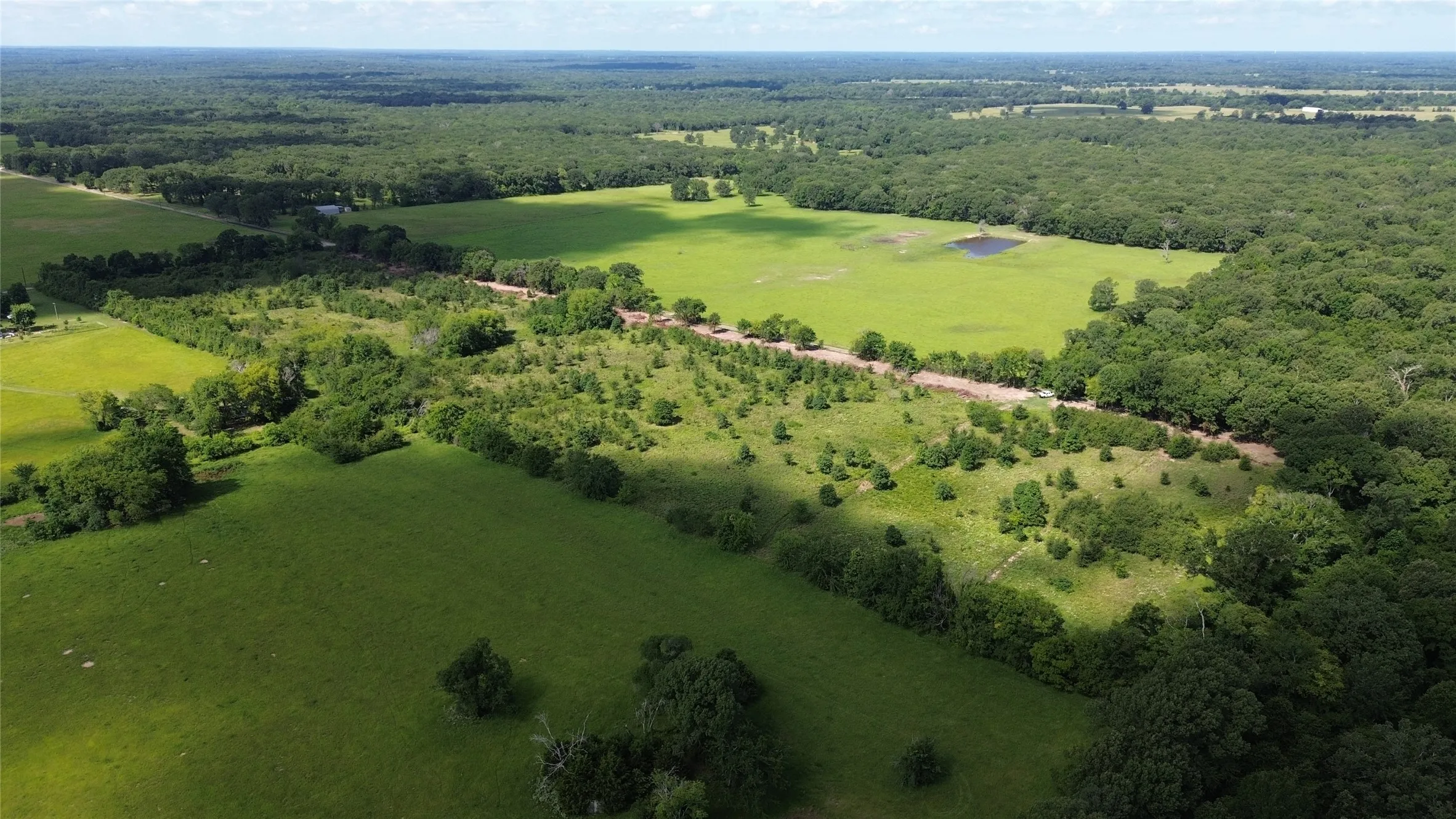 Aerial view of sparsely populated area featuring a forest
