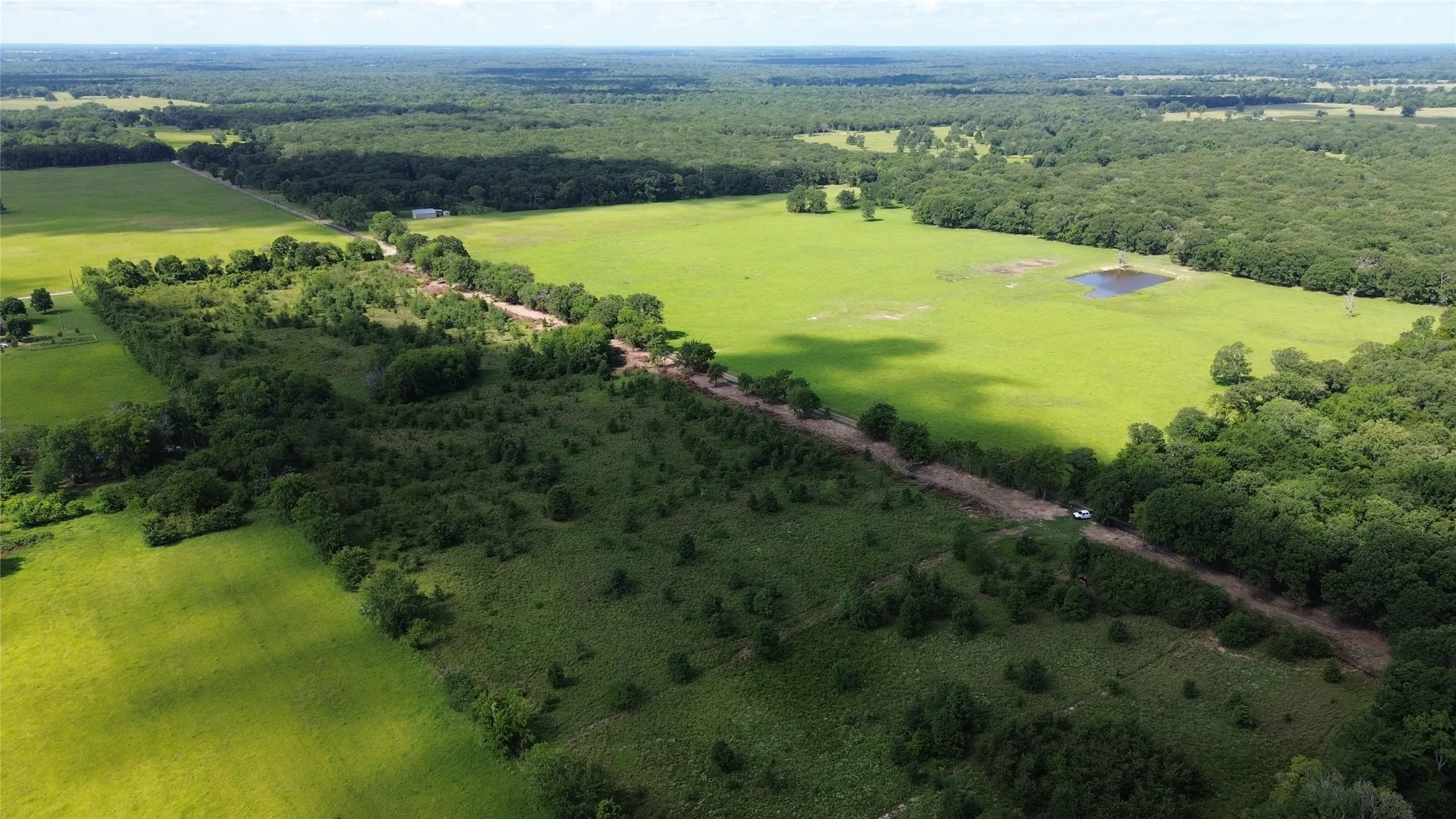Aerial view of a forest