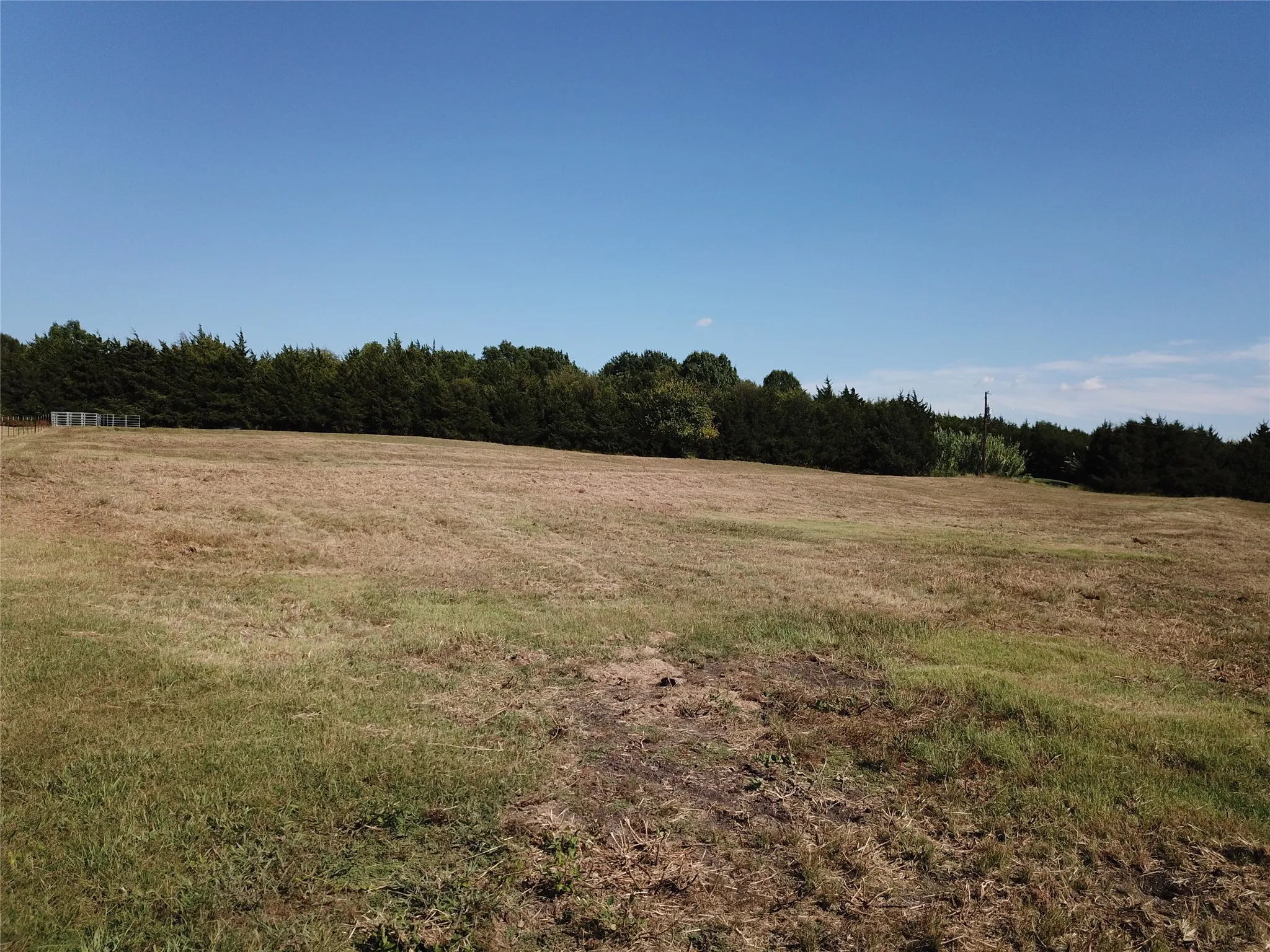 View of woods with a view of rural / pastoral area