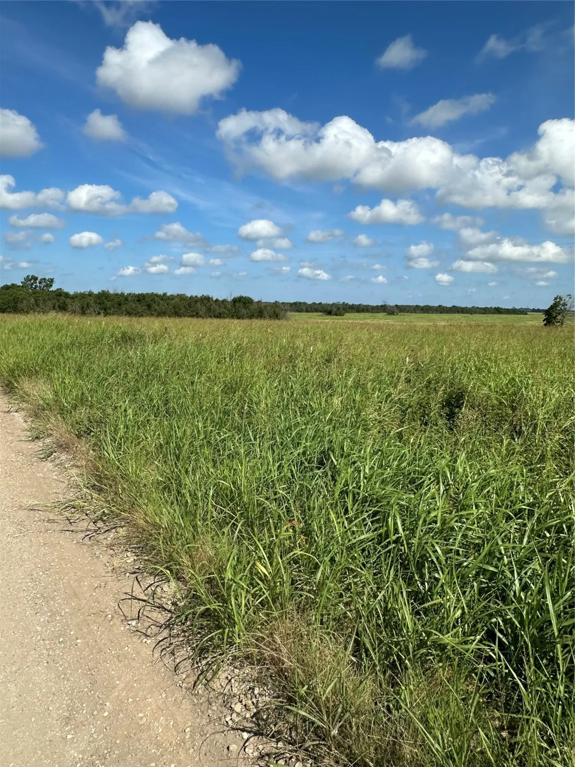View of local wilderness with rural landscape