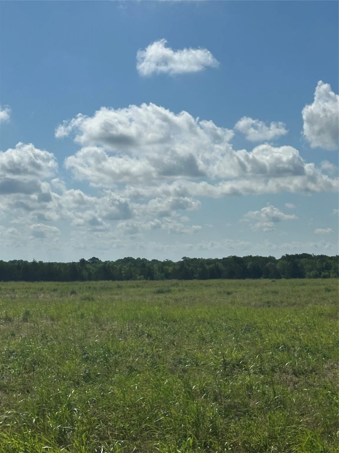 View of undeveloped land with rural landscape