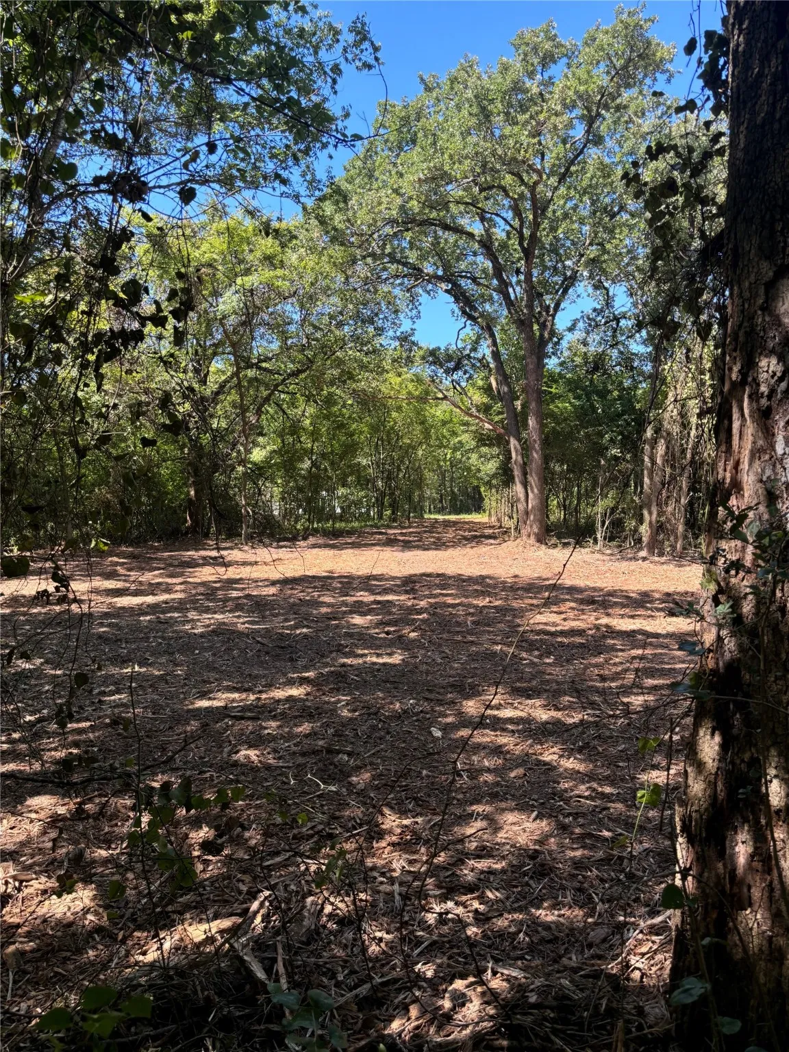 Unimproved Land For Sale in Henderson County , TBD Triple N Ranch Road, Trinidad, Texas 75163, 0, 0, Garage spaces, 0 Sqft, built in 0, mls#20948874, Real Estate Agent in Trinidad, Homes For Sale in Henderson county, Homes For Sale in Trinidad, Realtor in Trinidad Texas, Real Estate Brokerage Independent Realty Texas, Luminita Cordes Realtor