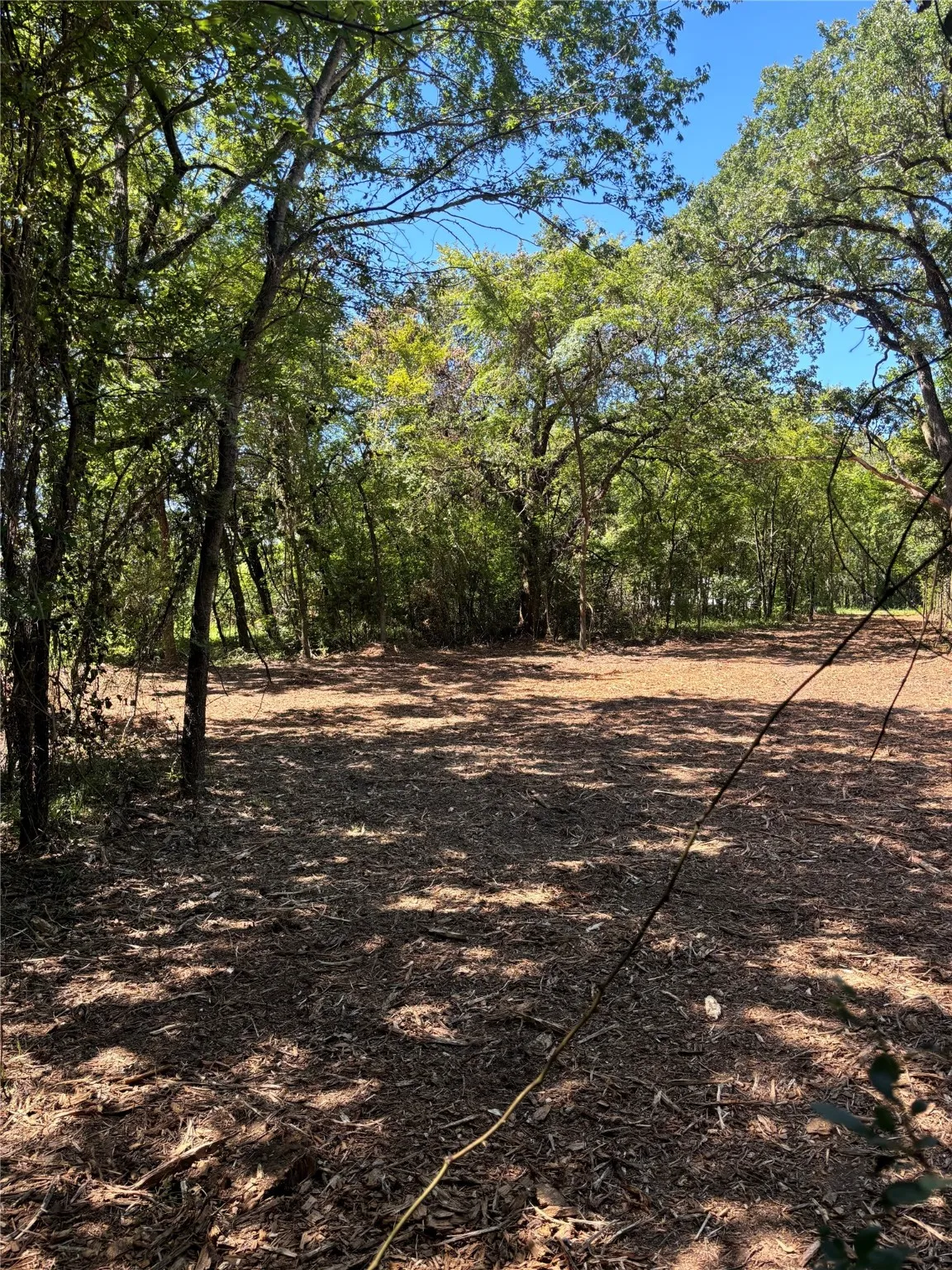 Unimproved Land For Sale in Henderson County , TBD Triple N Ranch Road, Trinidad, Texas 75163, 0, 0, Garage spaces, 0 Sqft, built in 0, mls#20948874, Real Estate Agent in Trinidad, Homes For Sale in Henderson county, Homes For Sale in Trinidad, Realtor in Trinidad Texas, Real Estate Brokerage Independent Realty Texas, Luminita Cordes Realtor