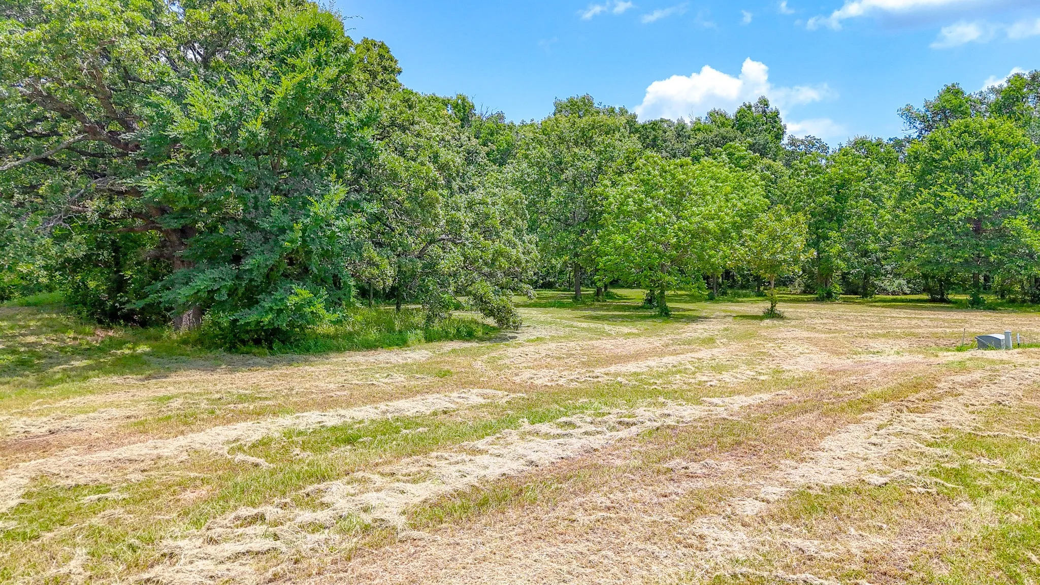 Improved Land For Sale in Navarro County , Lot 602 Clear Water Court, Corsicana, Texas 75109, 0, 0, Garage spaces, 0 Sqft, built in 0, Price $59,000, mls#20976904, Real Estate Agent in Corsicana, Homes For Sale in Navarro county, Homes For Sale in Corsicana, Realtor in Corsicana Texas, Real Estate Brokerage Independent Realty Texas, Luminita Cordes Realtor