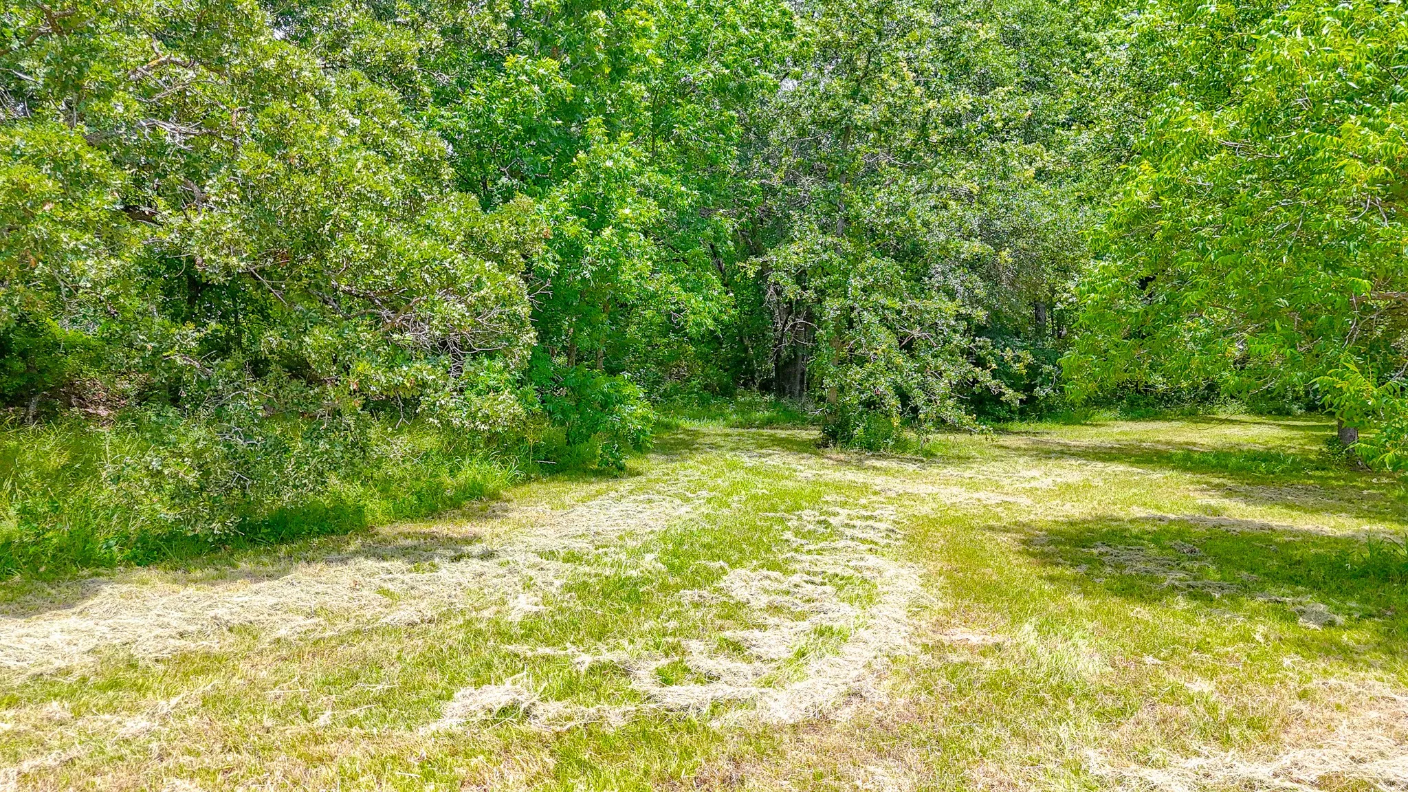 Improved Land For Sale in Navarro County , Lot 602 Clear Water Court, Corsicana, Texas 75109, 0, 0, Garage spaces, 0 Sqft, built in 0, Price $59,000, mls#20976904, Real Estate Agent in Corsicana, Homes For Sale in Navarro county, Homes For Sale in Corsicana, Realtor in Corsicana Texas, Real Estate Brokerage Independent Realty Texas, Luminita Cordes Realtor