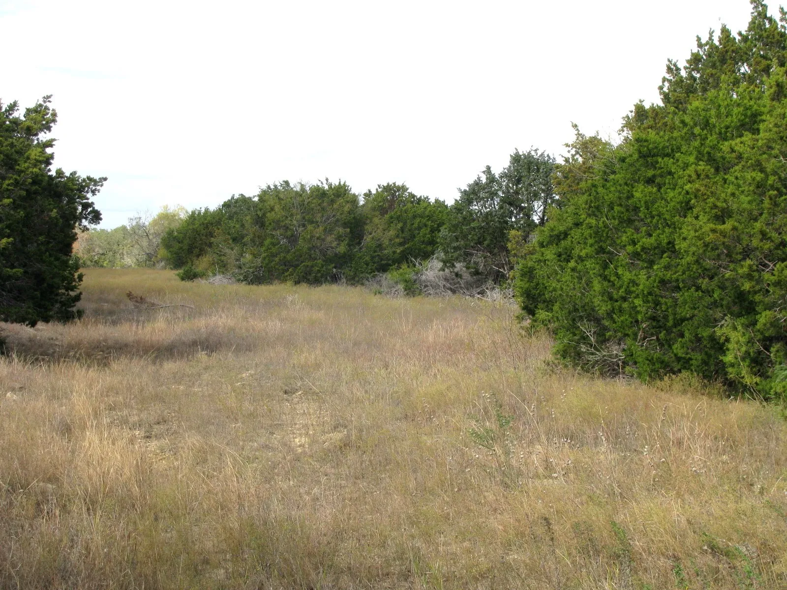 Unimproved Land For Sale in Hamilton County , Lot 140 Ph 6 County Road 421, Evant, Texas 76566, 0, 0, Garage spaces, 0 Sqft, built in 0, Price $104,000, mls#20980760, Real Estate Agent in Evant, Homes For Sale in Hamilton county, Homes For Sale in Evant, Realtor in Evant Texas, Real Estate Brokerage Independent Realty Texas, Luminita Cordes Realtor