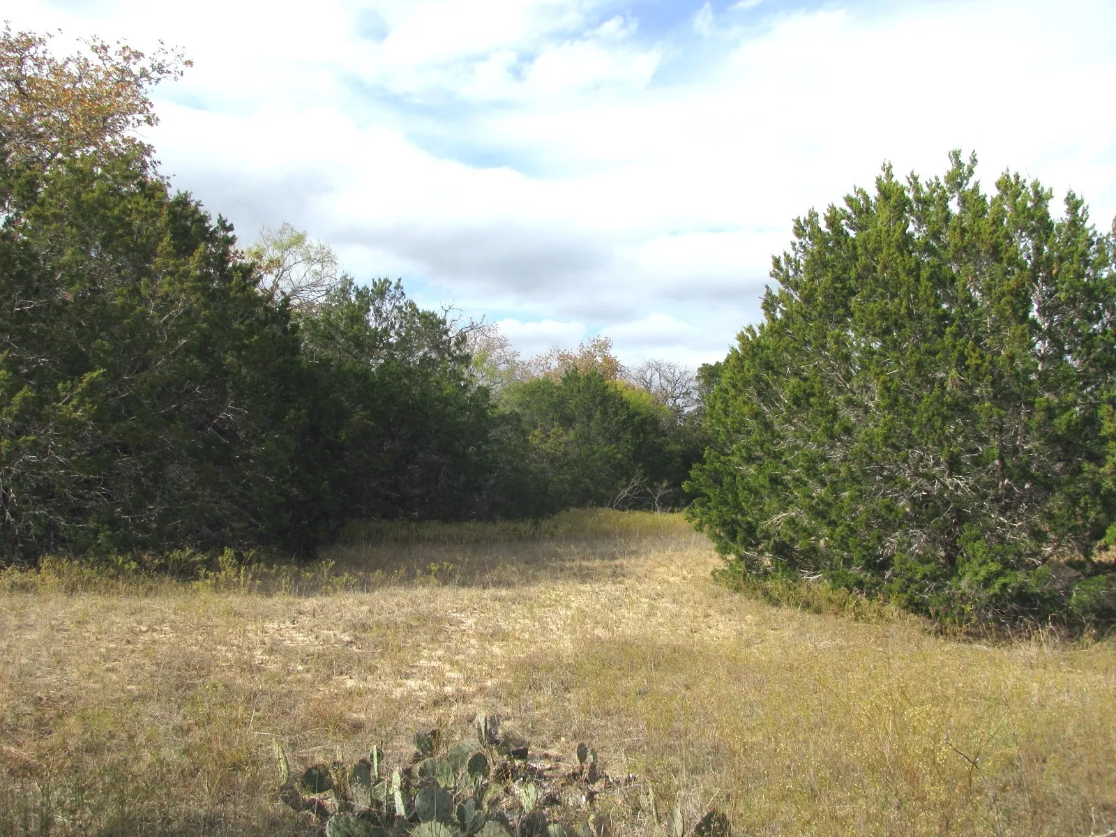 Unimproved Land For Sale in Hamilton County , Lot 140 Ph 6 County Road 421, Evant, Texas 76566, 0, 0, Garage spaces, 0 Sqft, built in 0, Price $104,000, mls#20980760, Real Estate Agent in Evant, Homes For Sale in Hamilton county, Homes For Sale in Evant, Realtor in Evant Texas, Real Estate Brokerage Independent Realty Texas, Luminita Cordes Realtor
