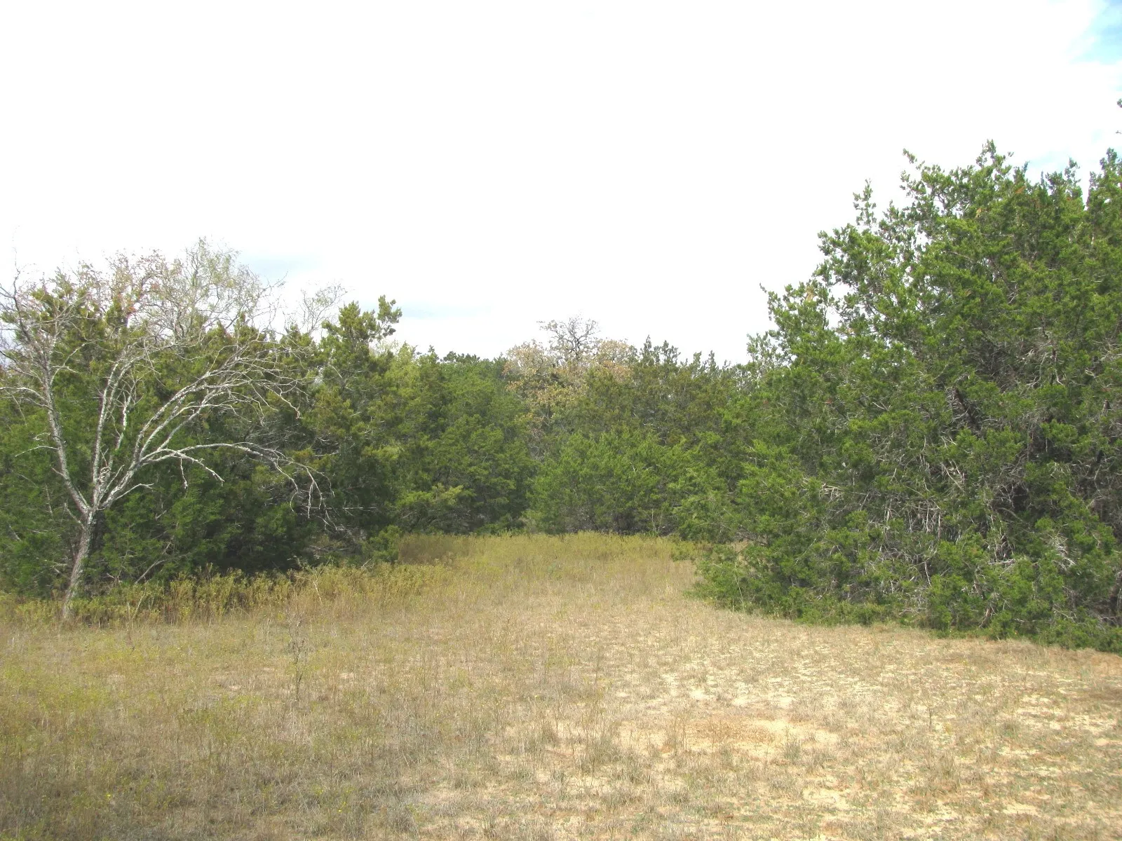 Unimproved Land For Sale in Hamilton County , Lot 140 Ph 6 County Road 421, Evant, Texas 76566, 0, 0, Garage spaces, 0 Sqft, built in 0, Price $104,000, mls#20980760, Real Estate Agent in Evant, Homes For Sale in Hamilton county, Homes For Sale in Evant, Realtor in Evant Texas, Real Estate Brokerage Independent Realty Texas, Luminita Cordes Realtor