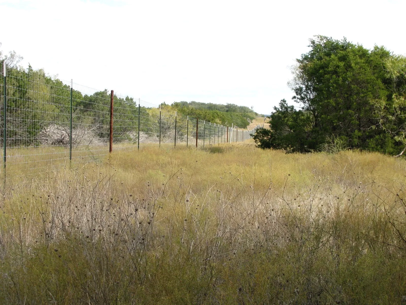 Unimproved Land For Sale in Hamilton County , Lot 140 Ph 6 County Road 421, Evant, Texas 76566, 0, 0, Garage spaces, 0 Sqft, built in 0, Price $104,000, mls#20980760, Real Estate Agent in Evant, Homes For Sale in Hamilton county, Homes For Sale in Evant, Realtor in Evant Texas, Real Estate Brokerage Independent Realty Texas, Luminita Cordes Realtor
