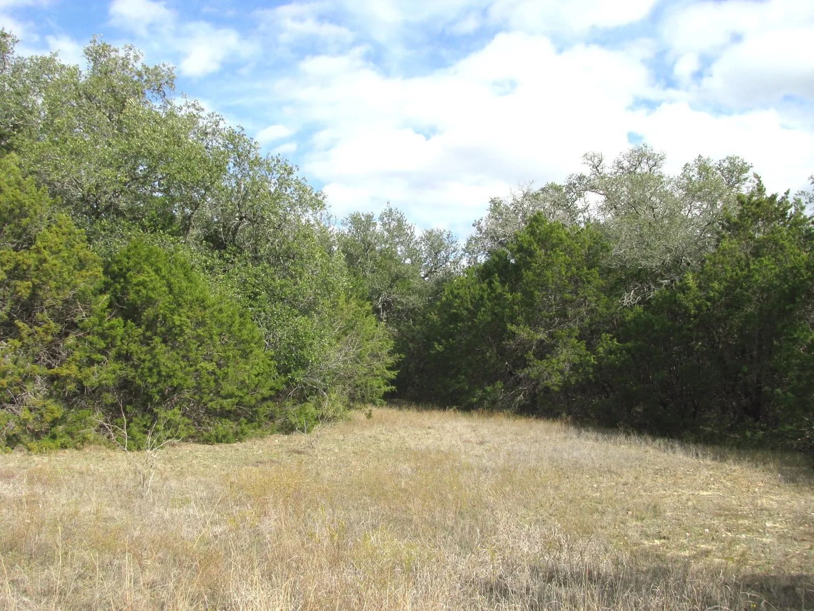 Unimproved Land For Sale in Hamilton County , Lot 140 Ph 6 County Road 421, Evant, Texas 76566, 0, 0, Garage spaces, 0 Sqft, built in 0, Price $104,000, mls#20980760, Real Estate Agent in Evant, Homes For Sale in Hamilton county, Homes For Sale in Evant, Realtor in Evant Texas, Real Estate Brokerage Independent Realty Texas, Luminita Cordes Realtor