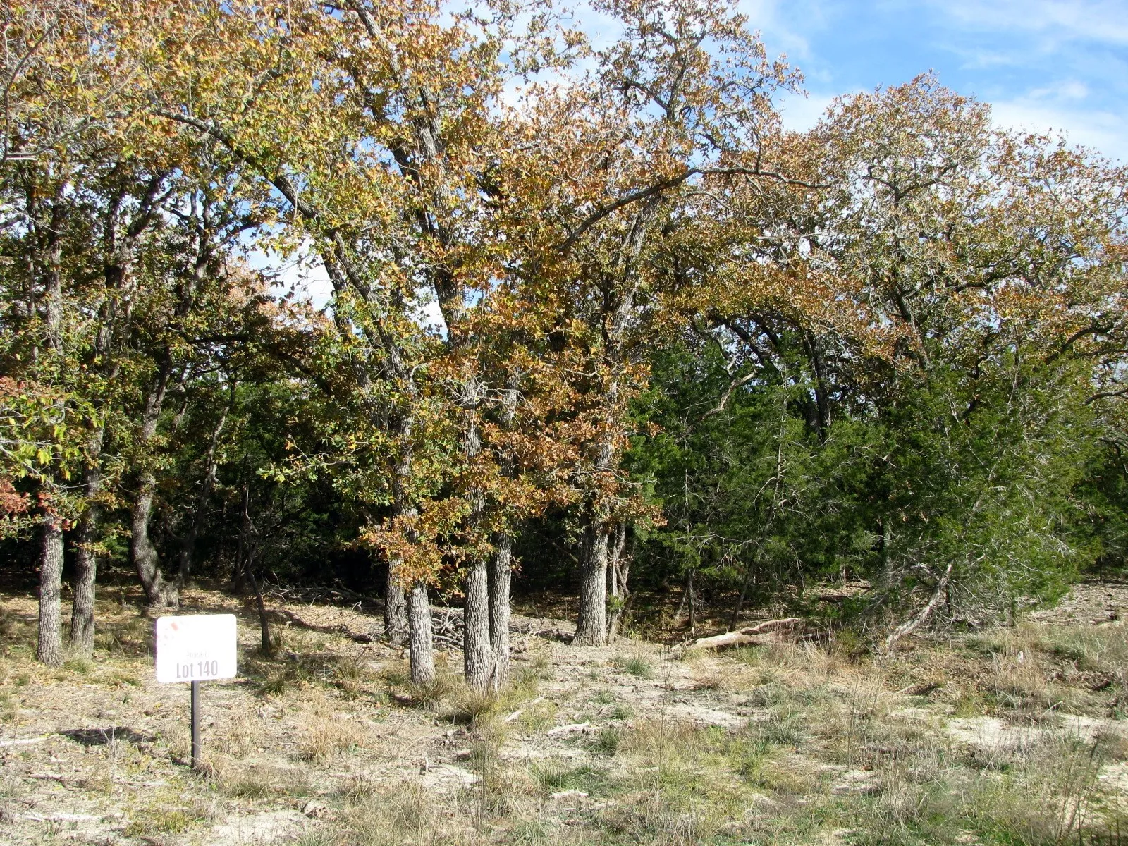 Unimproved Land For Sale in Hamilton County , Lot 140 Ph 6 County Road 421, Evant, Texas 76566, 0, 0, Garage spaces, 0 Sqft, built in 0, Price $104,000, mls#20980760, Real Estate Agent in Evant, Homes For Sale in Hamilton county, Homes For Sale in Evant, Realtor in Evant Texas, Real Estate Brokerage Independent Realty Texas, Luminita Cordes Realtor