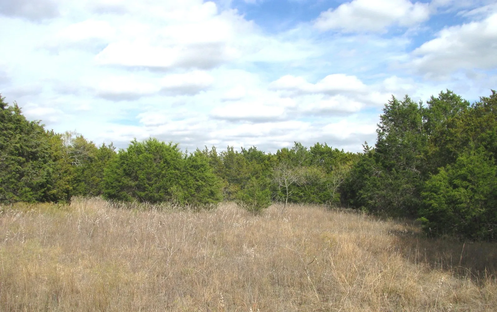 Unimproved Land For Sale in Hamilton County , Lot 140 Ph 6 County Road 421, Evant, Texas 76566, 0, 0, Garage spaces, 0 Sqft, built in 0, Price $104,000, mls#20980760, Real Estate Agent in Evant, Homes For Sale in Hamilton county, Homes For Sale in Evant, Realtor in Evant Texas, Real Estate Brokerage Independent Realty Texas, Luminita Cordes Realtor