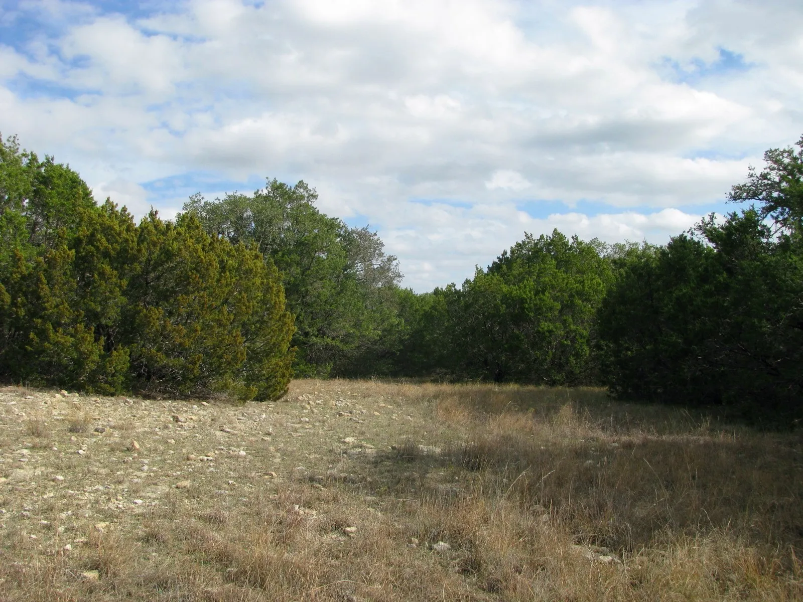 Unimproved Land For Sale in Hamilton County , Lot 140 Ph 6 County Road 421, Evant, Texas 76566, 0, 0, Garage spaces, 0 Sqft, built in 0, Price $104,000, mls#20980760, Real Estate Agent in Evant, Homes For Sale in Hamilton county, Homes For Sale in Evant, Realtor in Evant Texas, Real Estate Brokerage Independent Realty Texas, Luminita Cordes Realtor