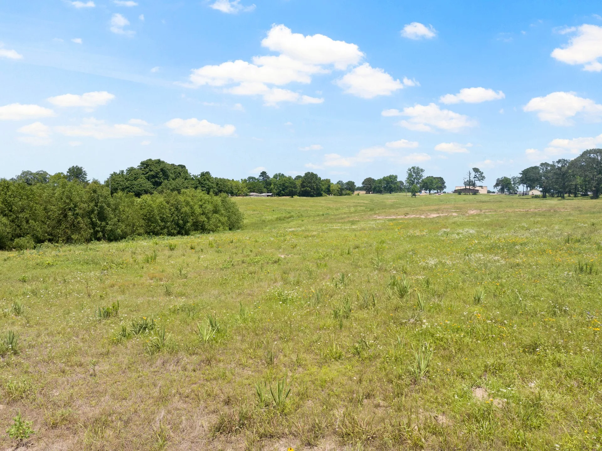 Unimproved Land For Sale in Titus County , 13 AC W Interstate 30 Service Road, Mt Pleasant, Texas 75455, 0, 0, Garage spaces, 0 Sqft, built in 0, Price $1,000,000, mls#20979818, Real Estate Agent in Mt Pleasant, Homes For Sale in Titus county, Homes For Sale in Mt Pleasant, Realtor in Mt Pleasant Texas, Real Estate Brokerage Independent Realty Texas, Luminita Cordes Realtor
