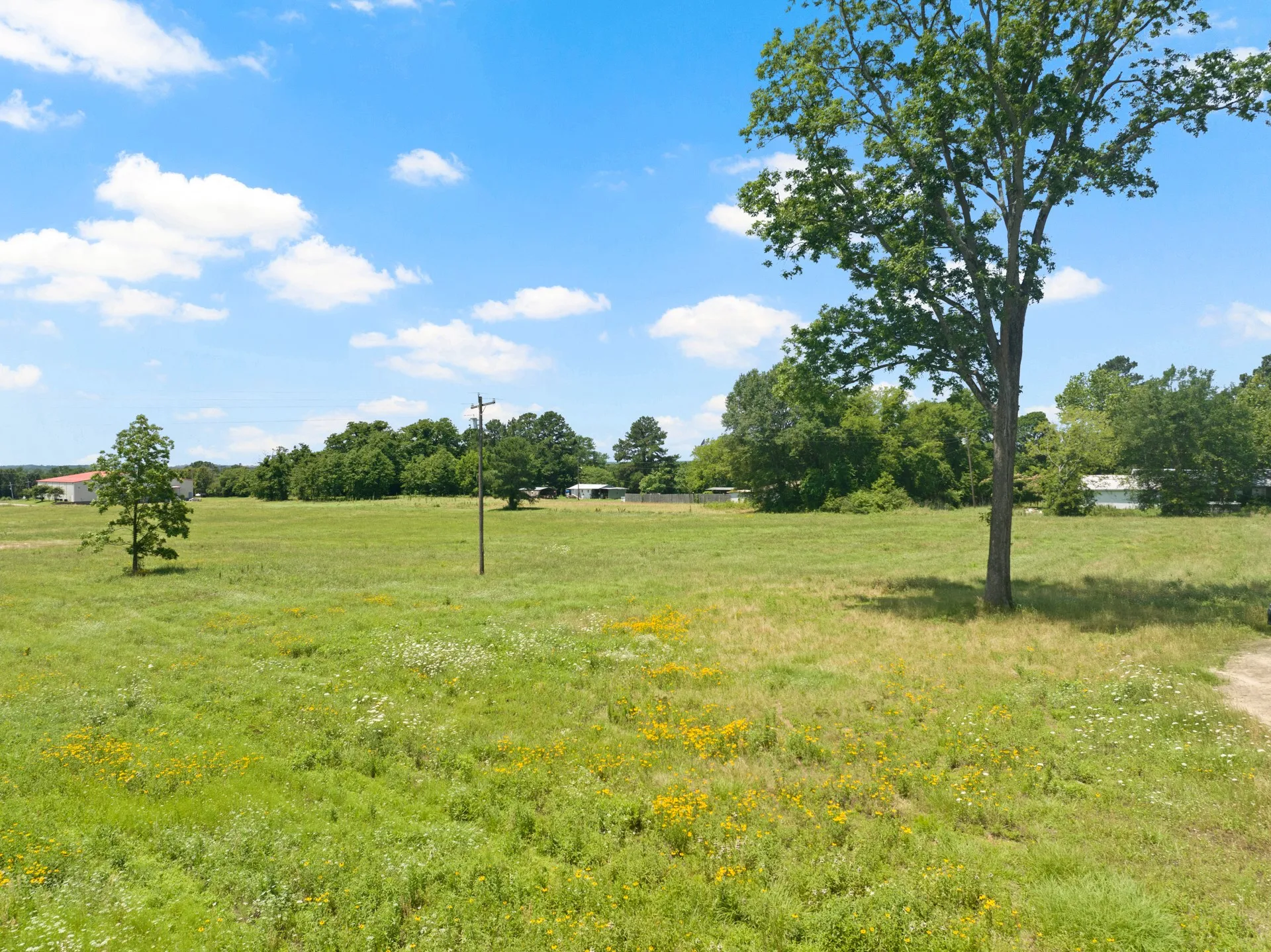 Unimproved Land For Sale in Titus County , 10 AC W Interstate 30 Service Road, Mt Pleasant, Texas 75455, 0, 0, Garage spaces, 0 Sqft, built in 0, Price $2,000,000, mls#20979799, Real Estate Agent in Mt Pleasant, Homes For Sale in Titus county, Homes For Sale in Mt Pleasant, Realtor in Mt Pleasant Texas, Real Estate Brokerage Independent Realty Texas, Luminita Cordes Realtor