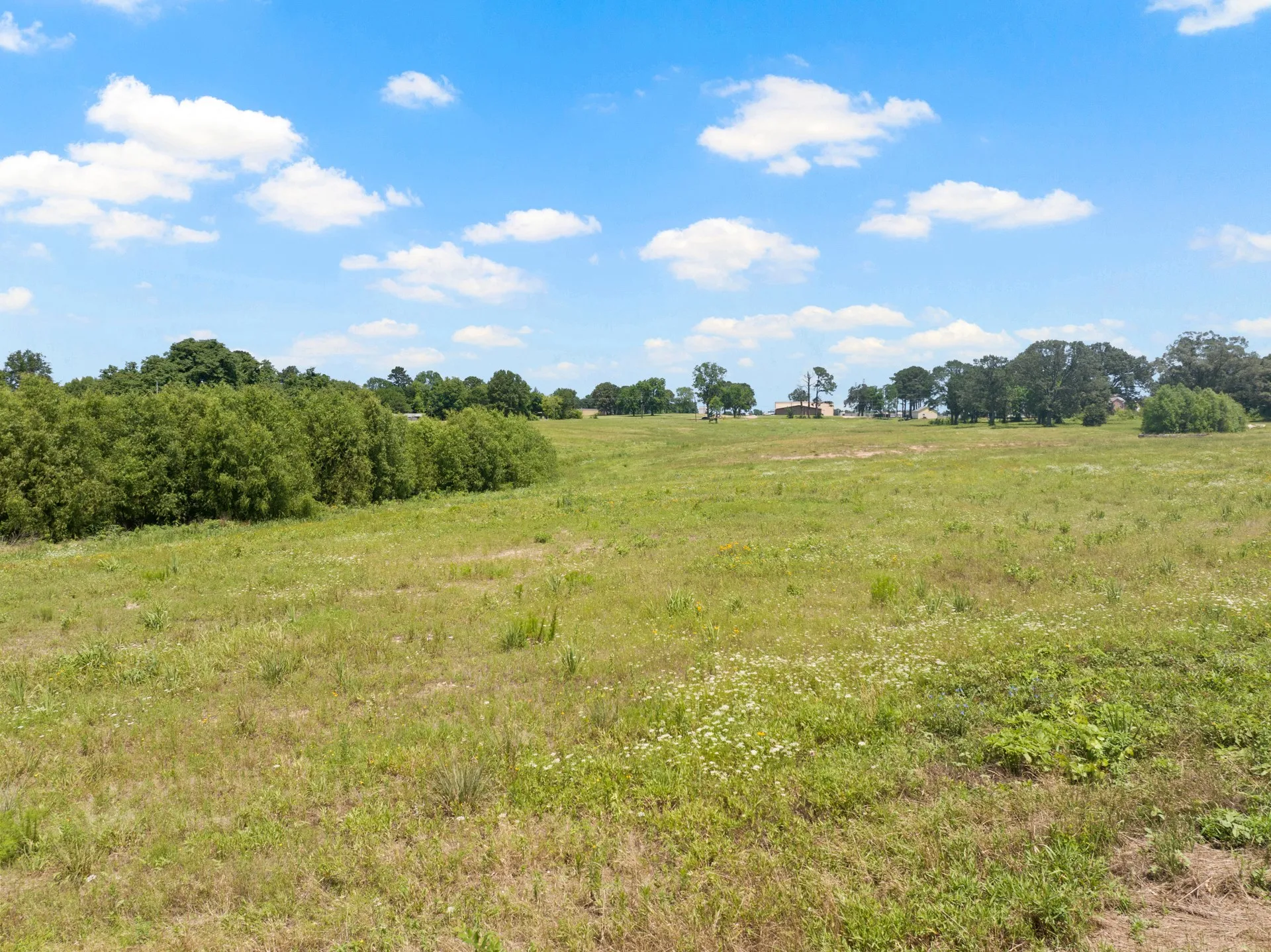 Unimproved Land For Sale in Titus County , 10 AC W Interstate 30 Service Road, Mt Pleasant, Texas 75455, 0, 0, Garage spaces, 0 Sqft, built in 0, Price $2,000,000, mls#20979799, Real Estate Agent in Mt Pleasant, Homes For Sale in Titus county, Homes For Sale in Mt Pleasant, Realtor in Mt Pleasant Texas, Real Estate Brokerage Independent Realty Texas, Luminita Cordes Realtor