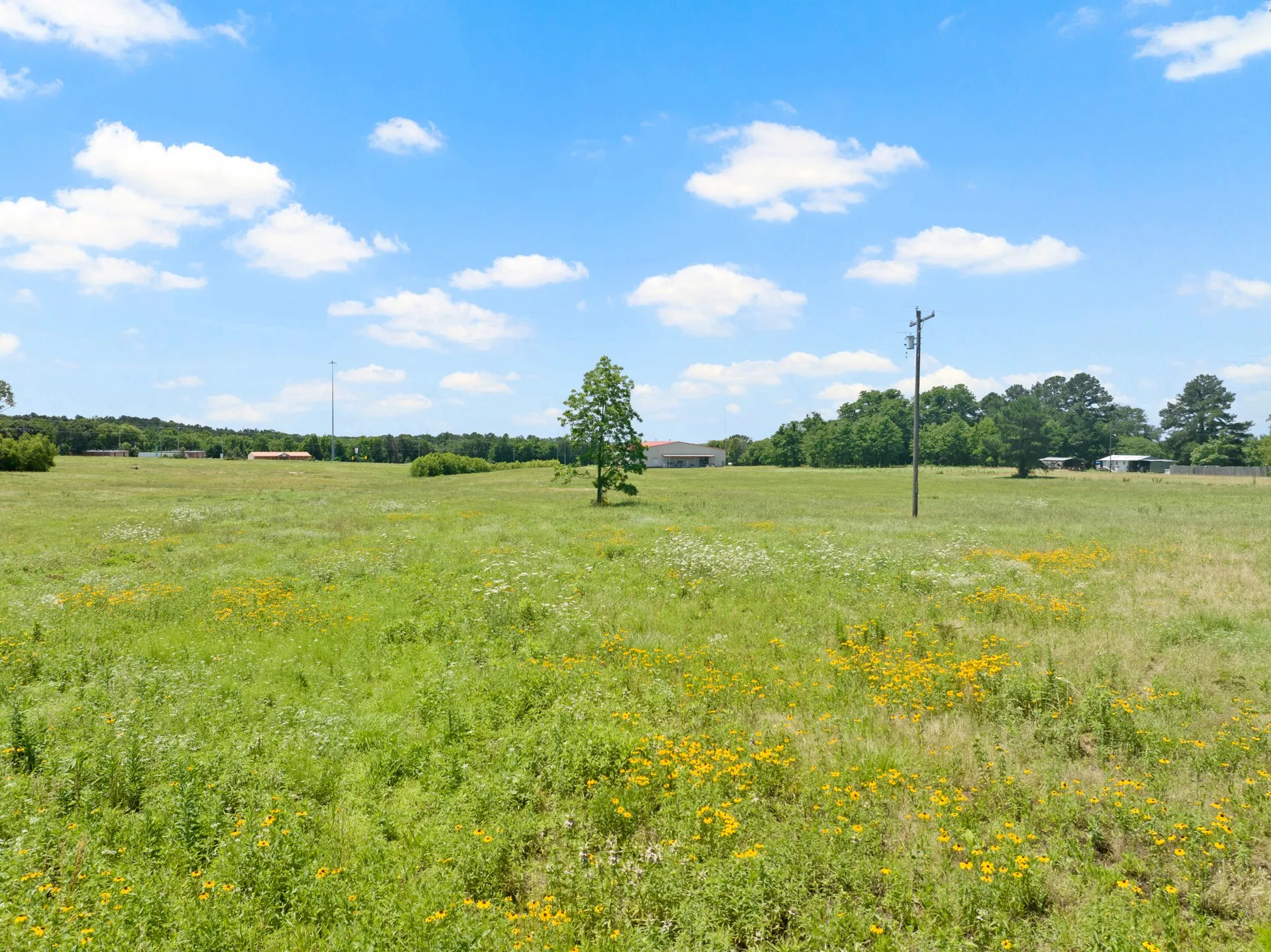 Unimproved Land For Sale in Titus County , 10 AC W Interstate 30 Service Road, Mt Pleasant, Texas 75455, 0, 0, Garage spaces, 0 Sqft, built in 0, Price $2,000,000, mls#20979799, Real Estate Agent in Mt Pleasant, Homes For Sale in Titus county, Homes For Sale in Mt Pleasant, Realtor in Mt Pleasant Texas, Real Estate Brokerage Independent Realty Texas, Luminita Cordes Realtor