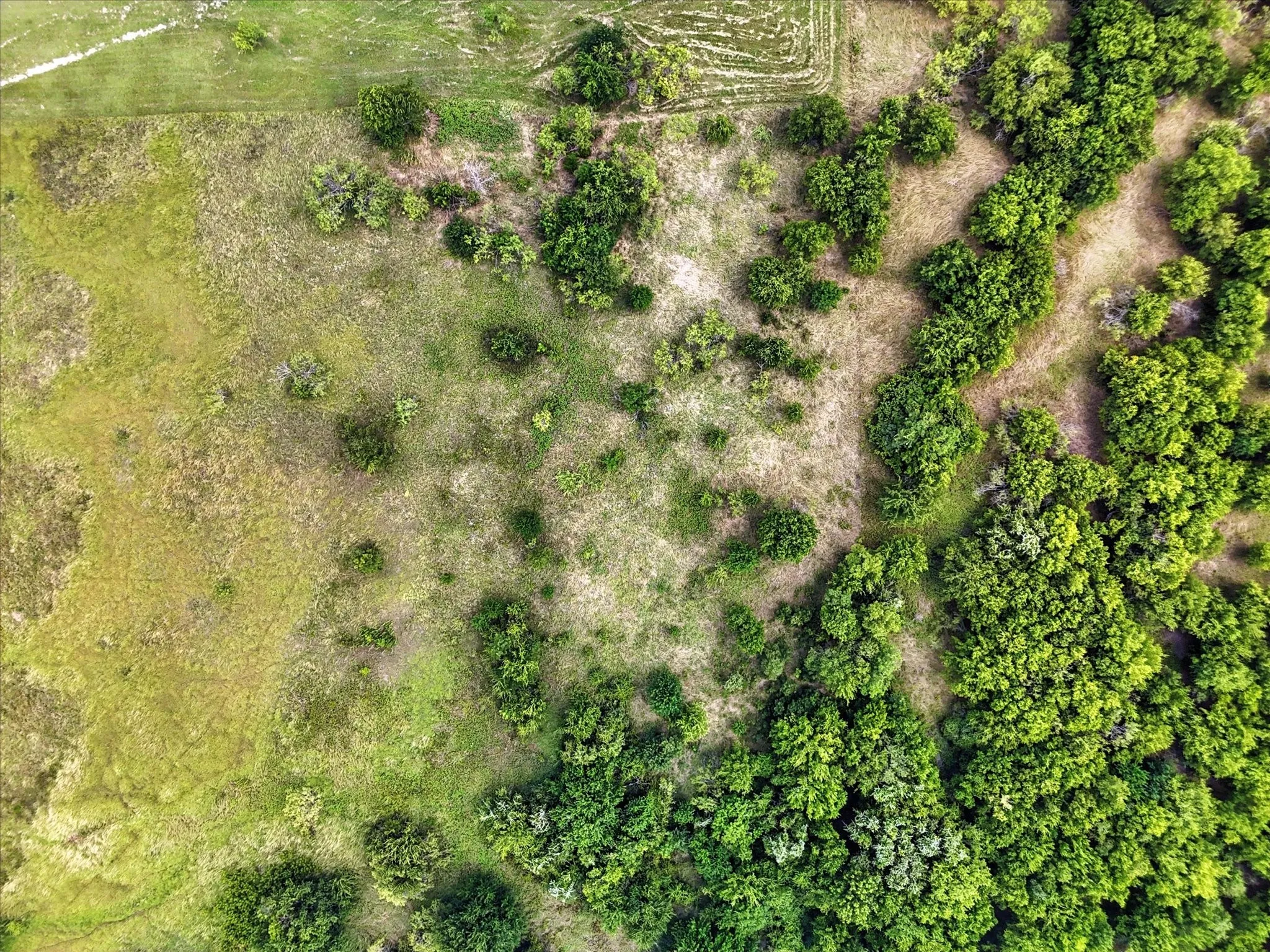 Improved Land For Sale in Hill County , Lot 42 Longview Creek Trail, Itasca, Texas 76055, 0, 0, Garage spaces, 0 Sqft, built in 0, Price $75,000, mls#20981064, Real Estate Agent in Itasca, Homes For Sale in Hill county, Homes For Sale in Itasca, Realtor in Itasca Texas, Real Estate Brokerage Independent Realty Texas, Luminita Cordes Realtor